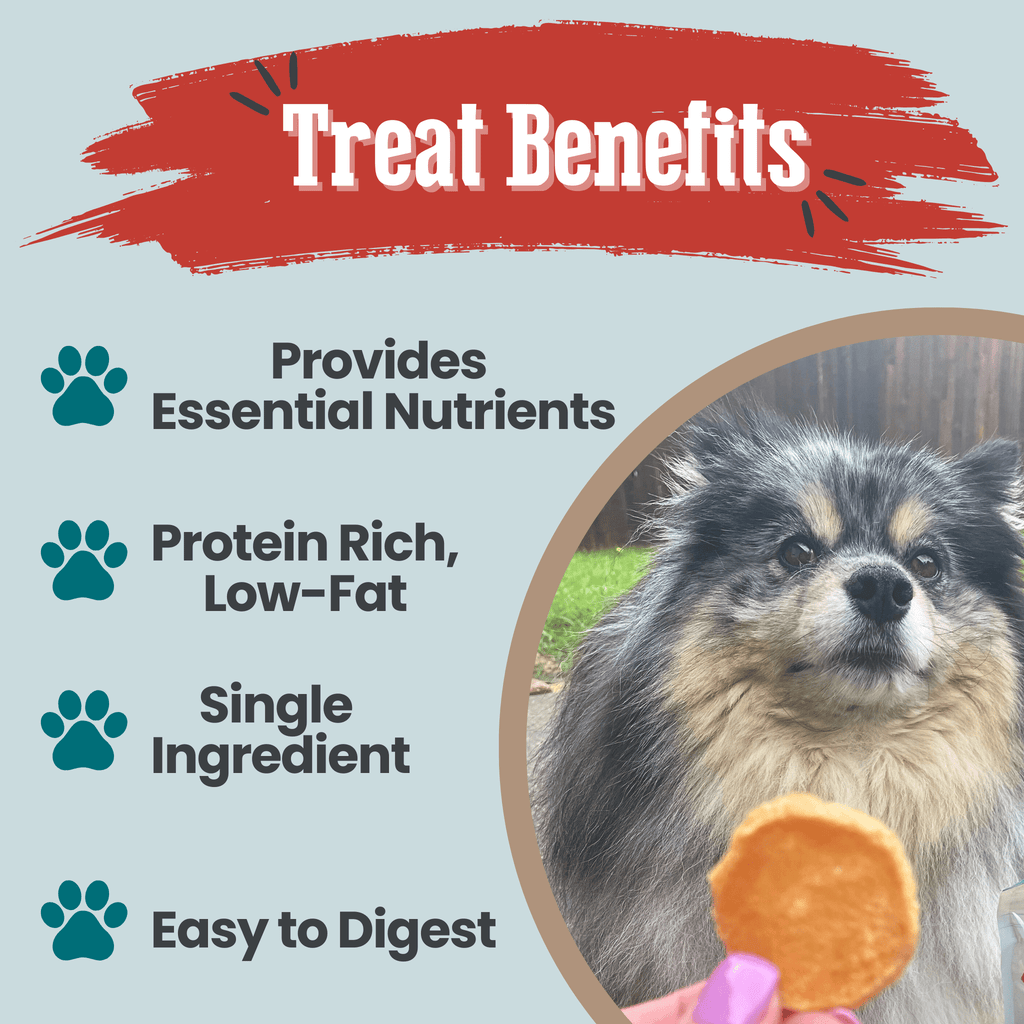 Walleye Fish Chip Snack Pack for Dogs & Cats, 6 Pieces