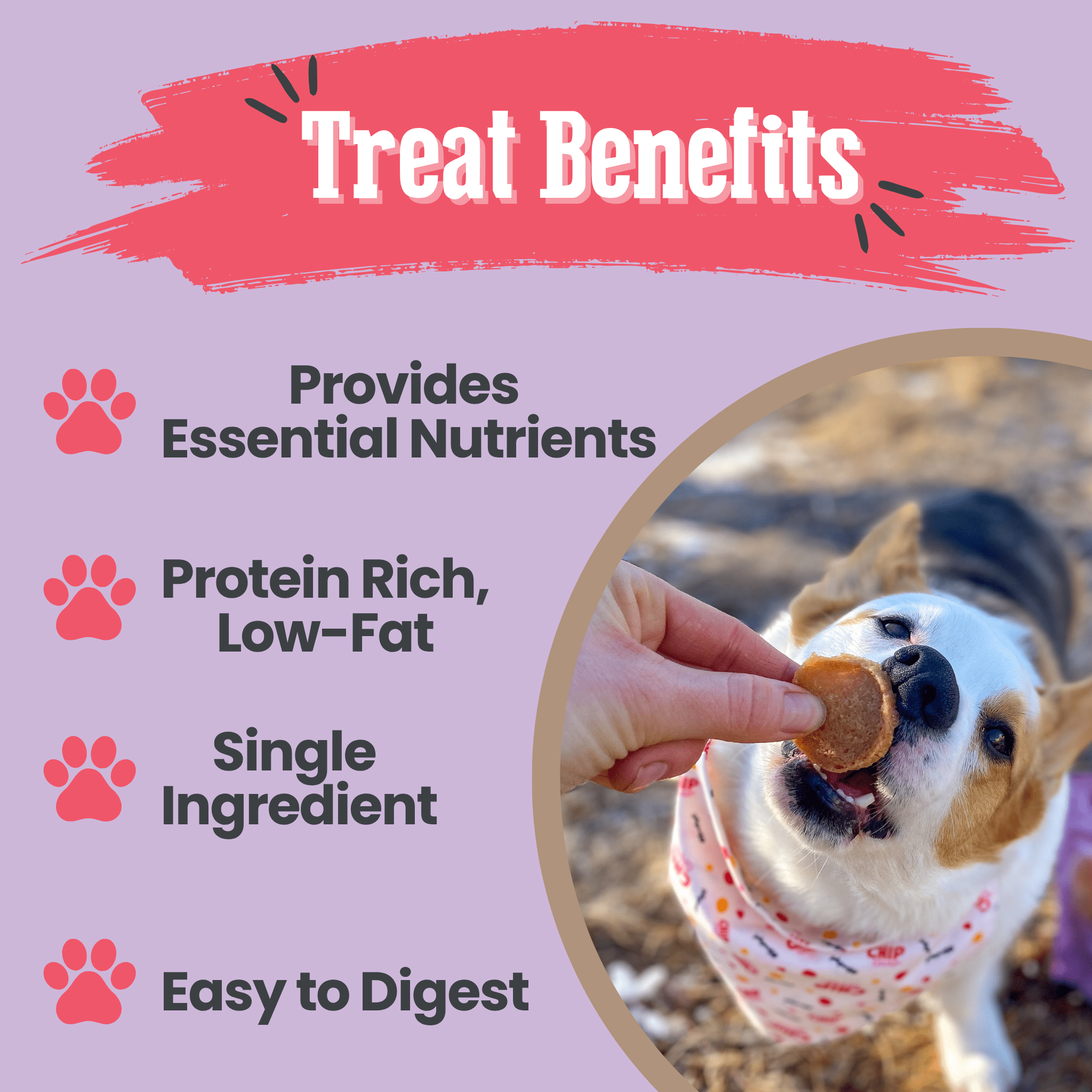 Puppy Love Dog Treat Duo – Chicken & Turkey Chips Value Pack