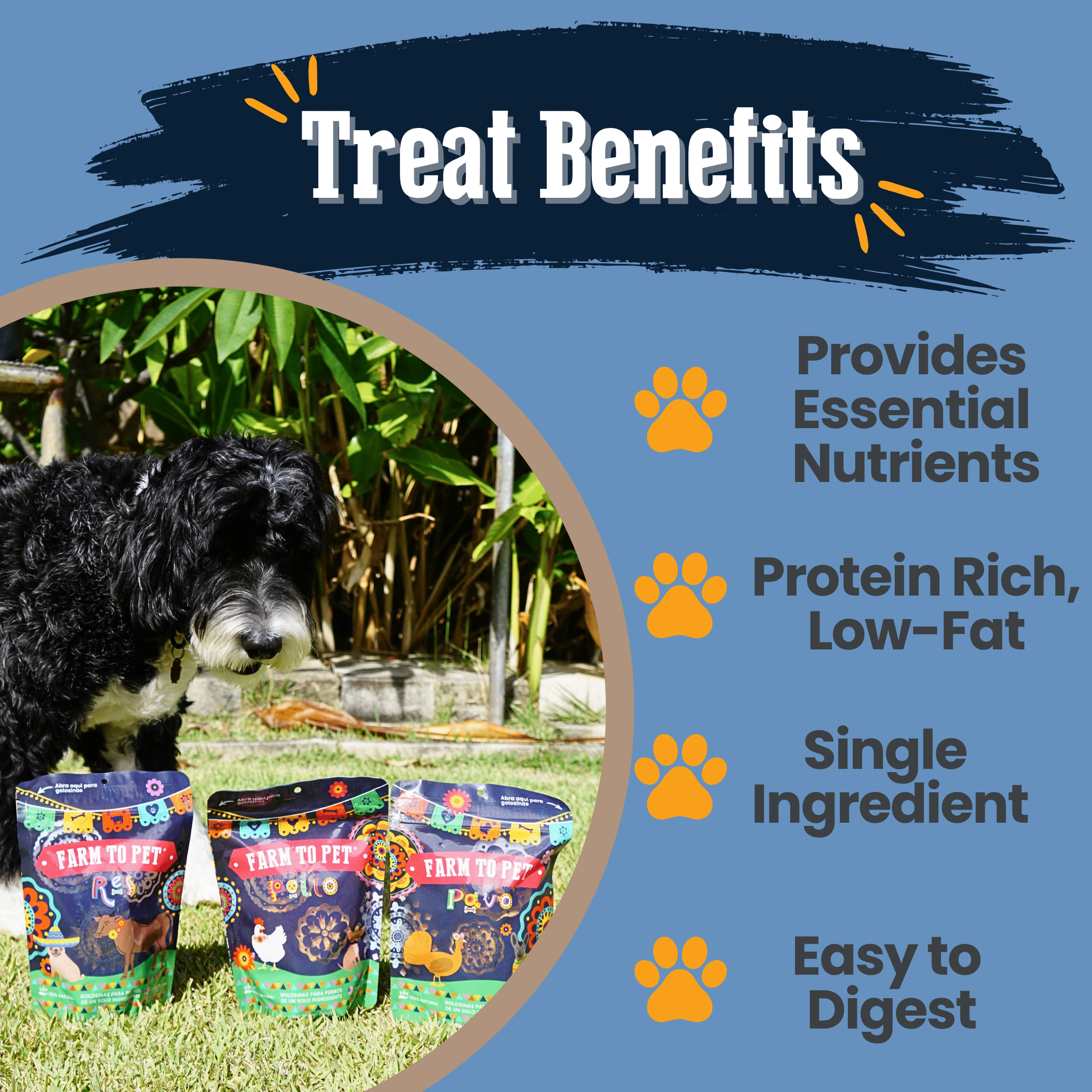 Fiesta Pack Single-Ingredient Protein Chips for Dogs & Cats