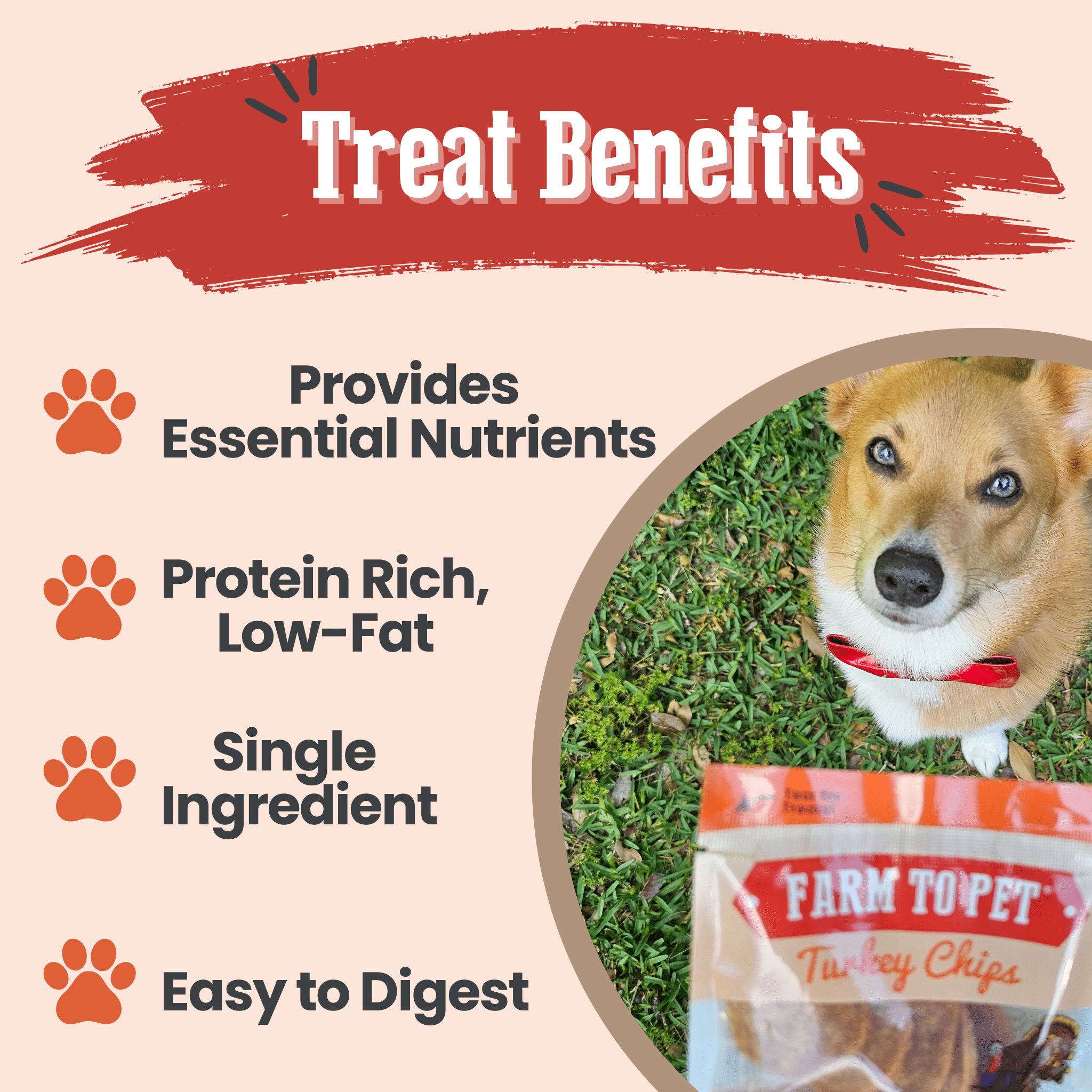 Turkey Chips Snack Pack for Dogs & Cats, 6 Pieces