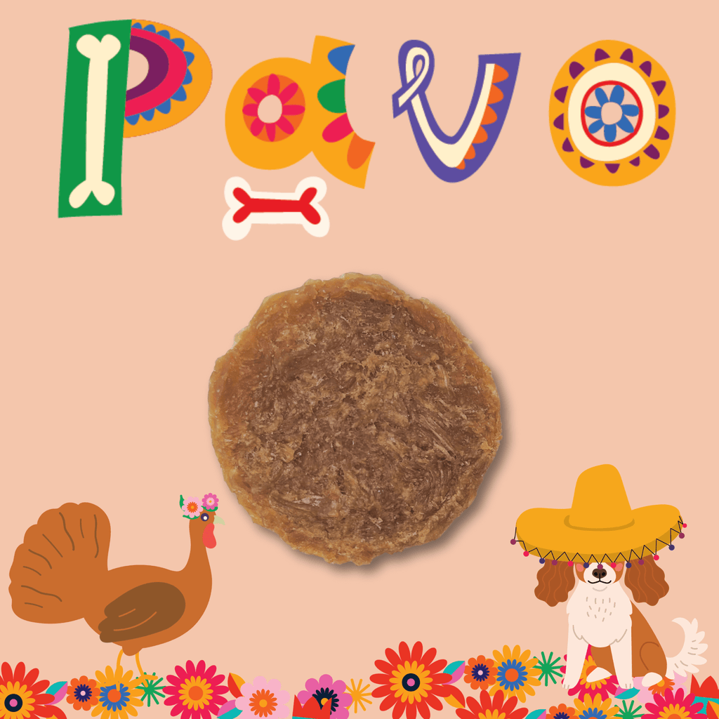 Fiesta Pack Single-Ingredient Protein Chips for Dogs & Cats