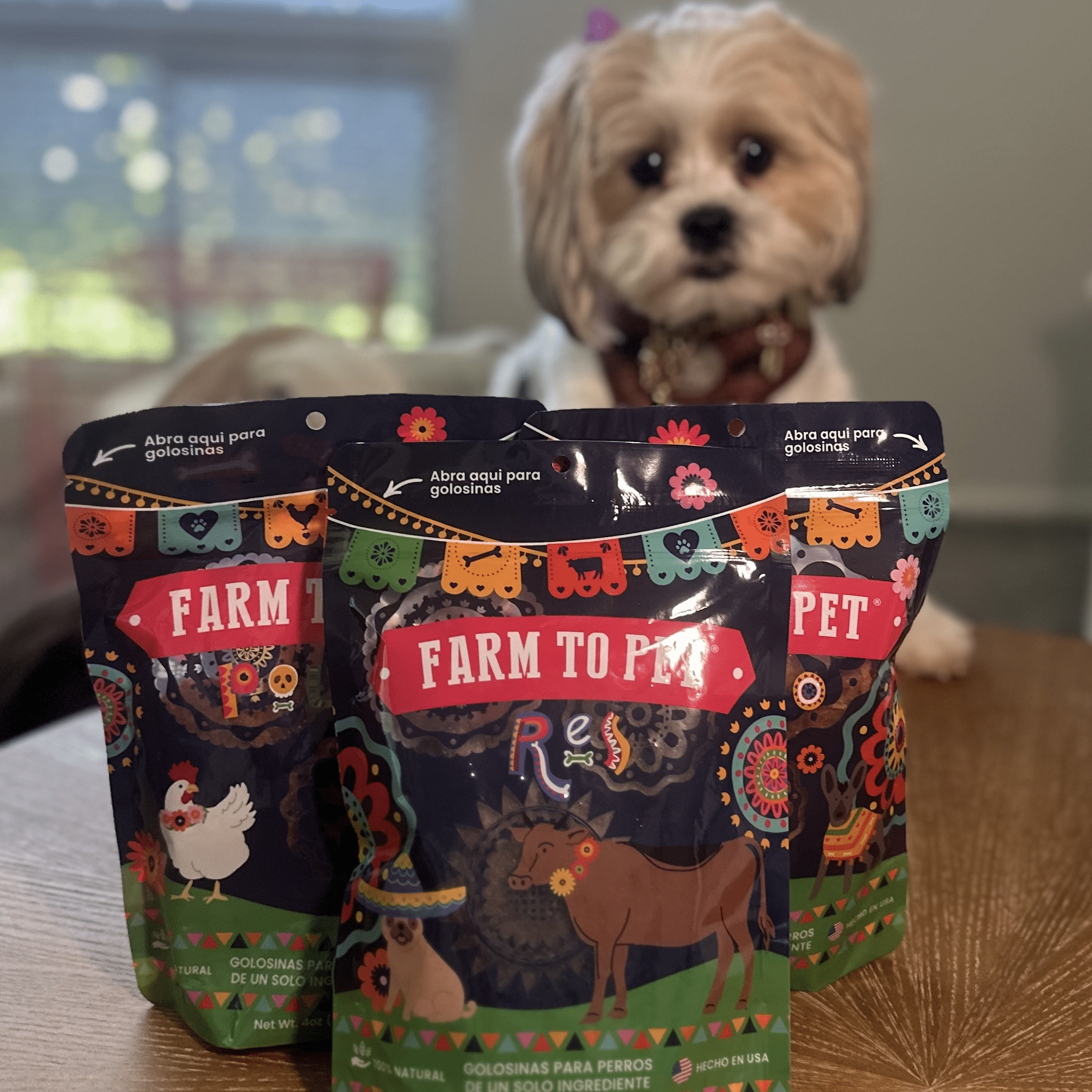 Fiesta Pack Single-Ingredient Protein Chips for Dogs & Cats