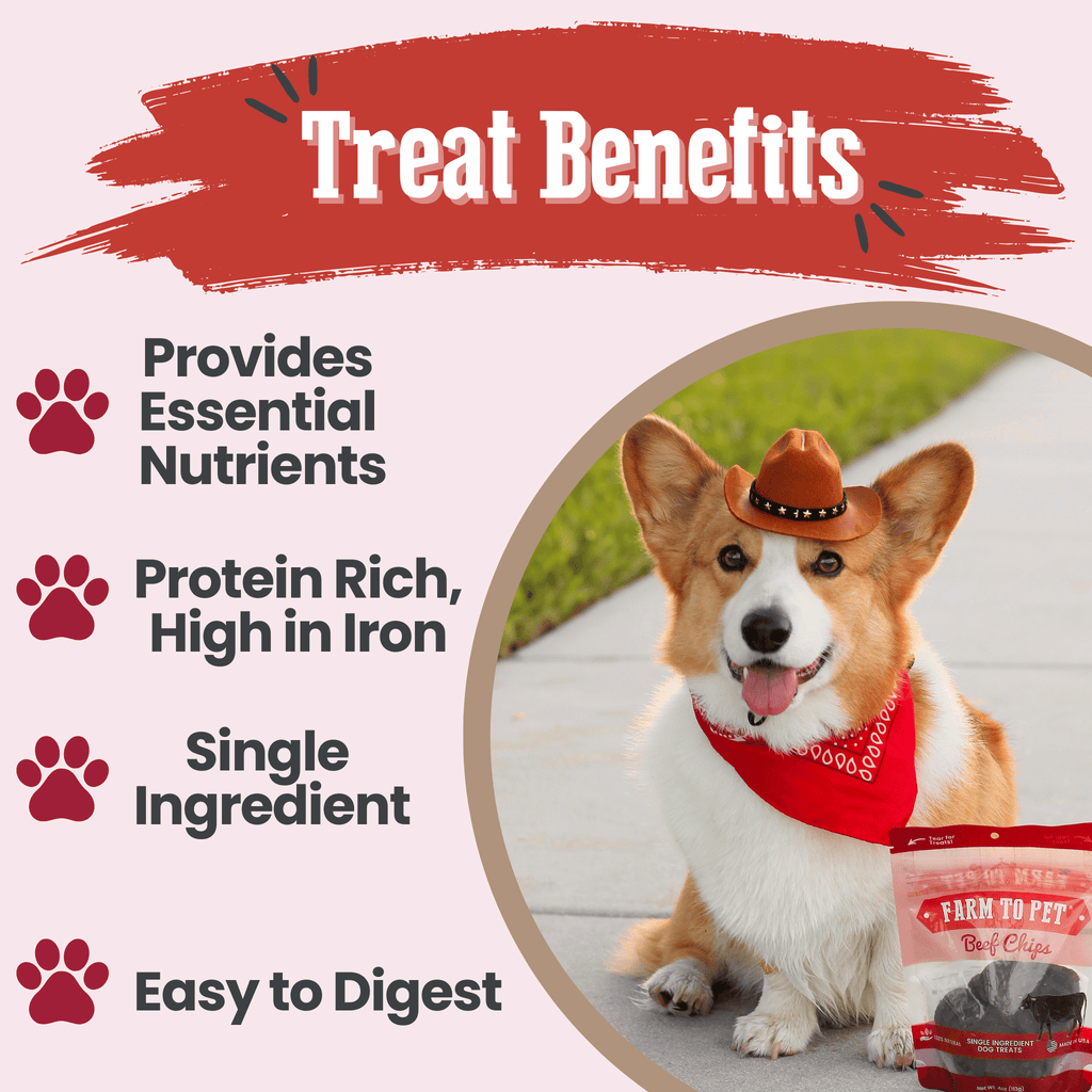 Farm to Pet Beef Chips Dog Treats – Single Ingredient, 100% Beef