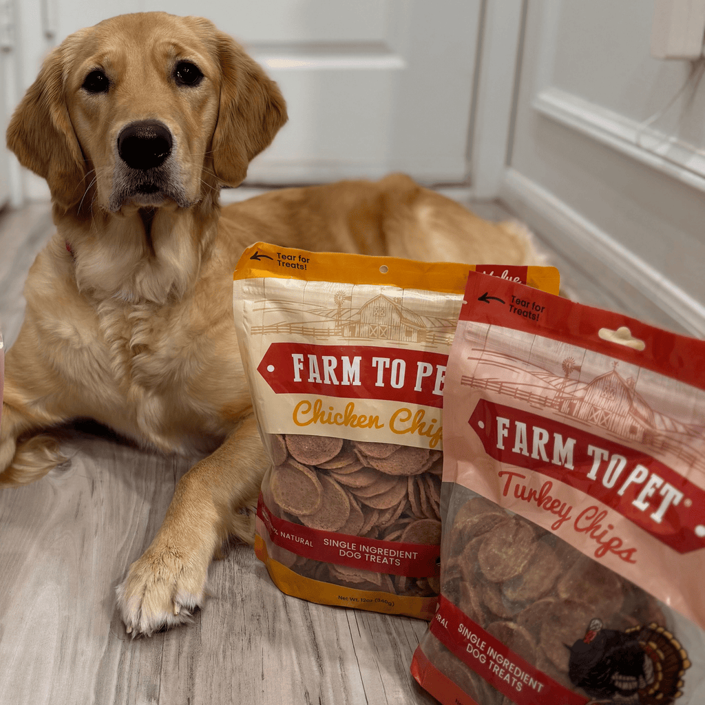 Turkey and Chicken Chip Dog Treat Duo – Single Ingredient