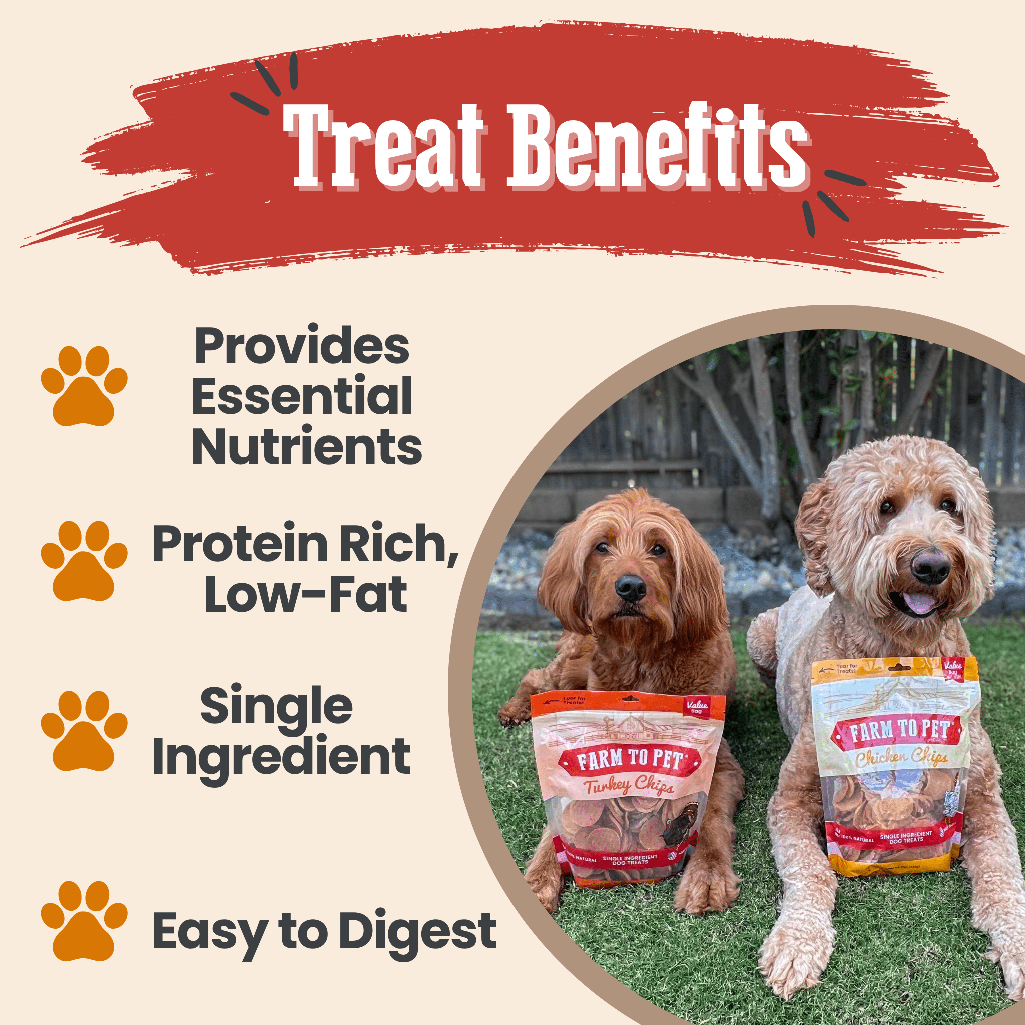 Turkey and Chicken Chip Dog Treat Duo – Single Ingredient