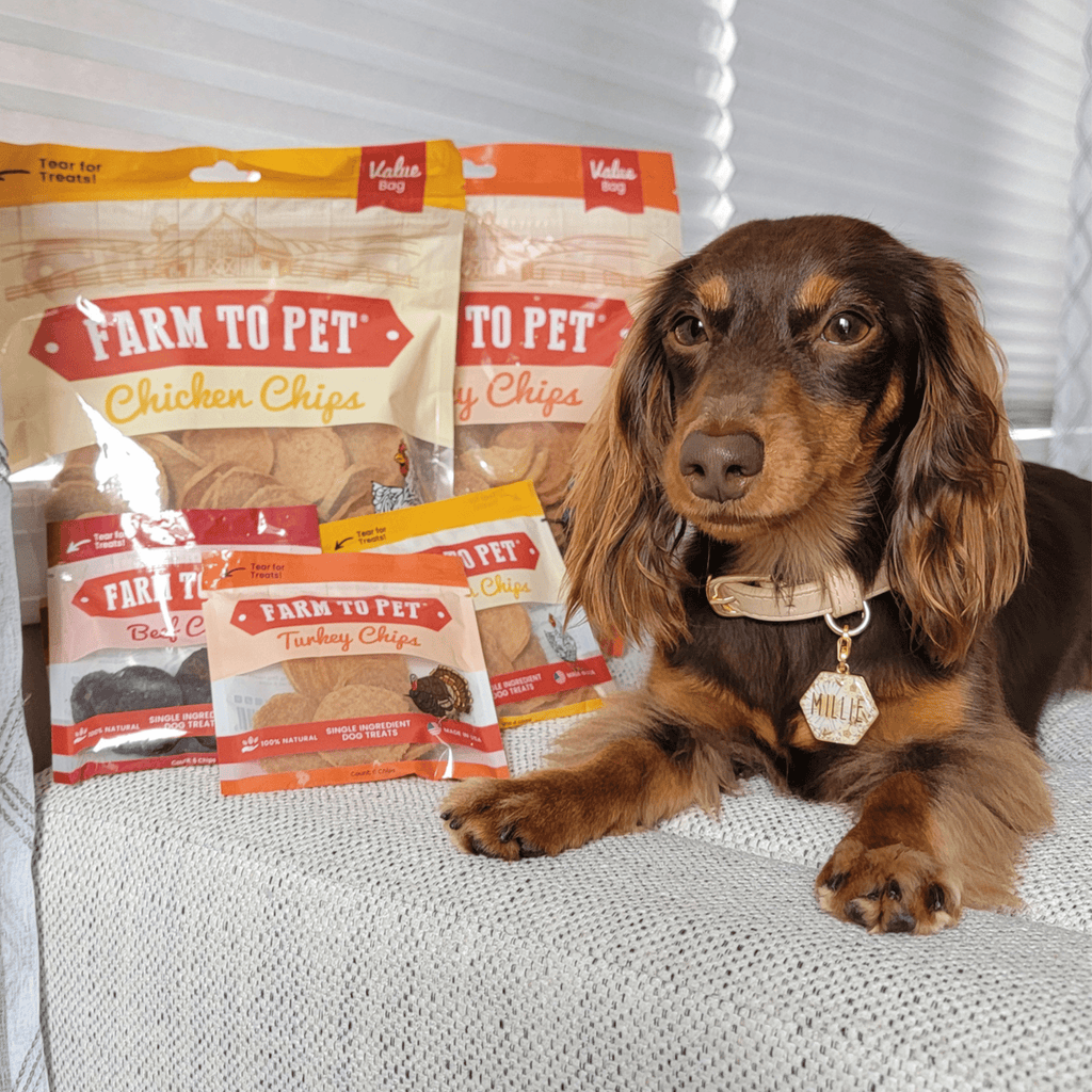 Turkey and Chicken Chip Dog Treat Duo – Single Ingredient
