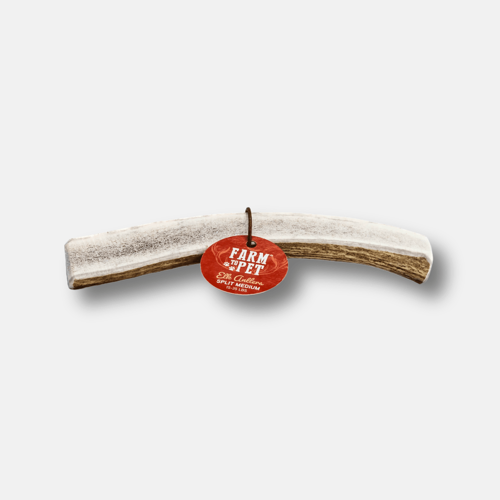 Elk Antler Dog Chew – Split or Whole, Wild-Gathered in Wyoming