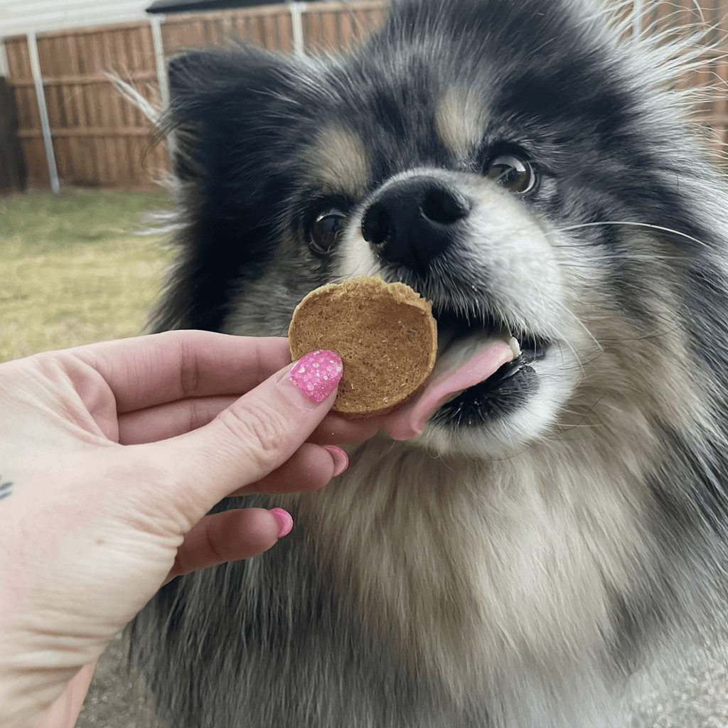 Wild-Caught Walleye Fish Chips for Dogs & Cats