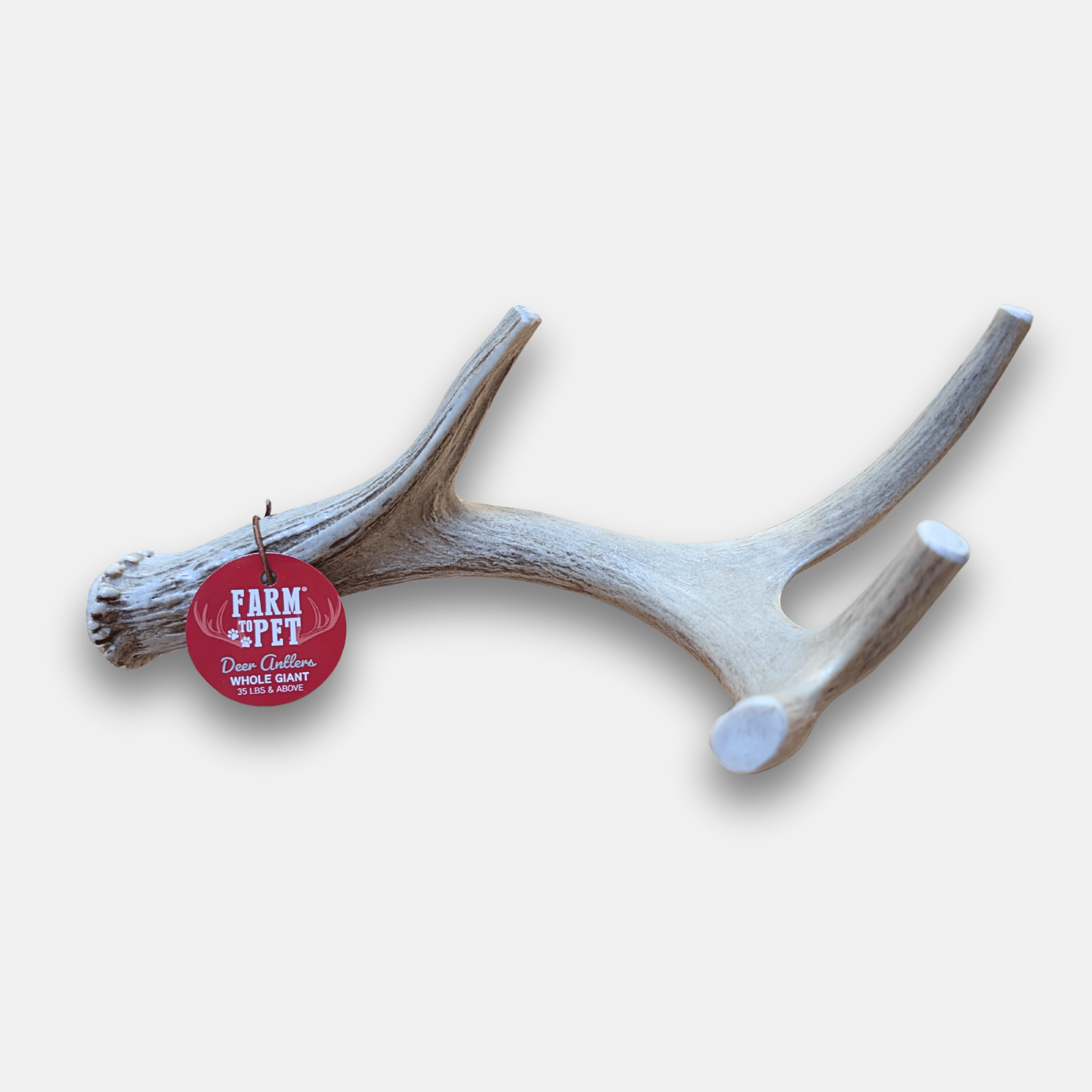 Whole Deer Antler Chew for Large Dogs (35 lbs and Up)