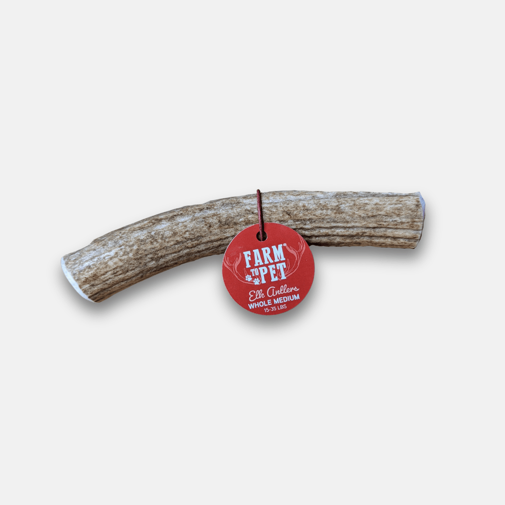 Elk Antler Dog Chew – Split or Whole, Wild-Gathered in Wyoming