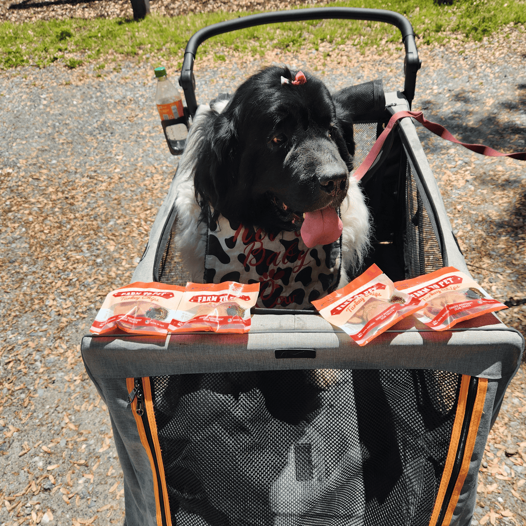 Turkey Chips Snack Pack for Dogs & Cats, 6 Pieces