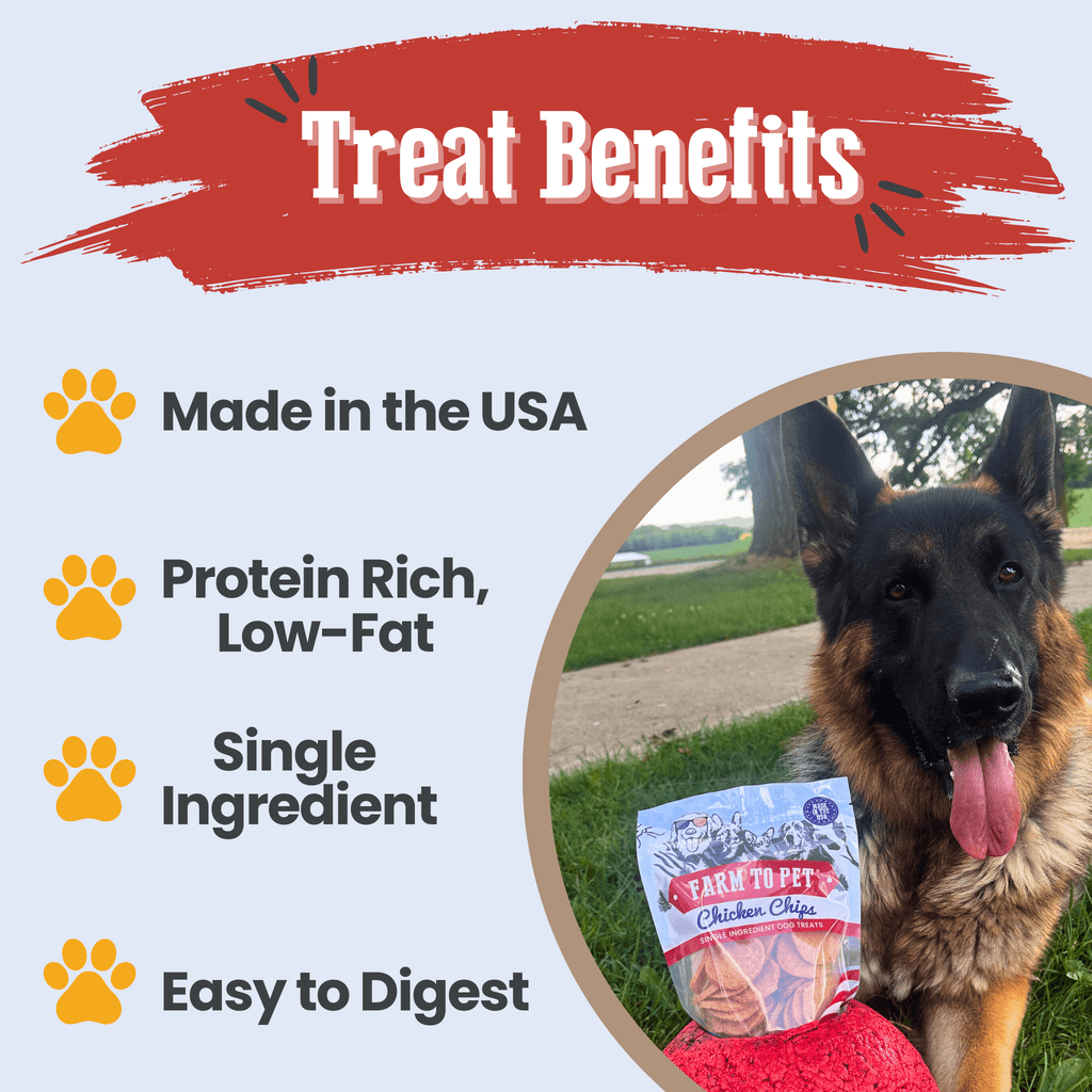 Americana Chicken Chips Dog Treats – Single Ingredient, USA Made
