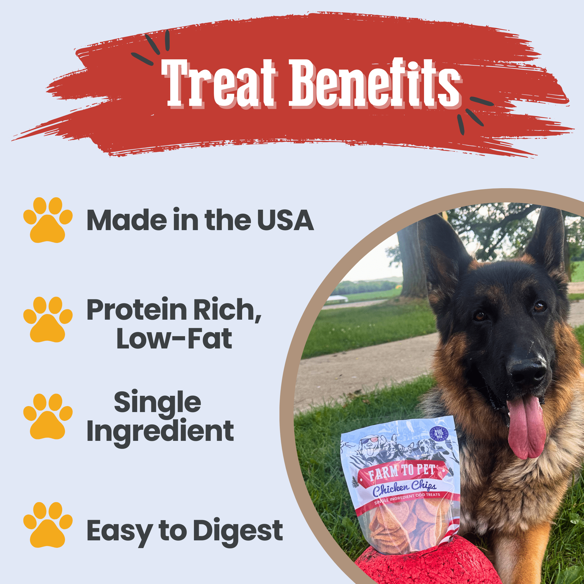 Americana Chicken Chips Dog Treats – Single Ingredient, USA Made