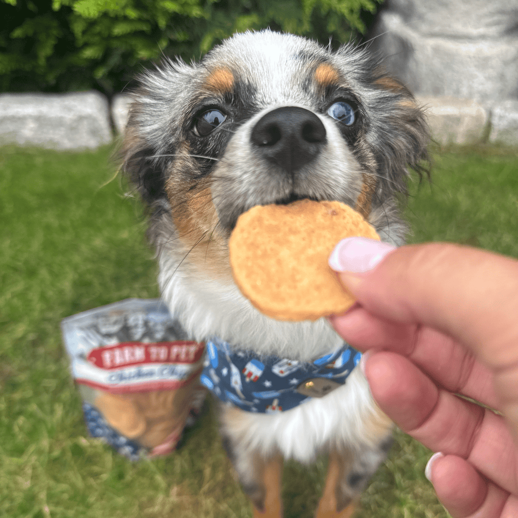 Americana Chicken Chips Dog Treats – Single Ingredient, USA Made