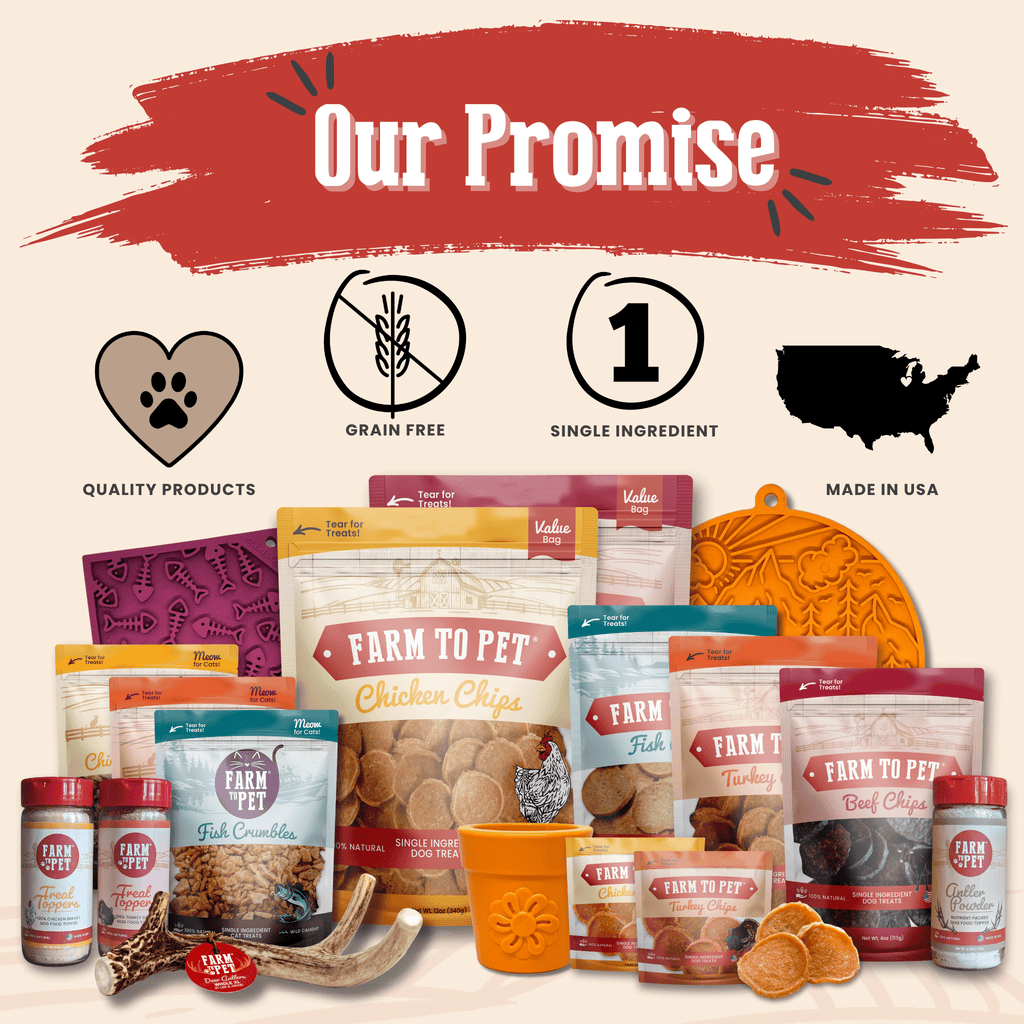 Turkey and Chicken Chip Dog Treat Duo – Single Ingredient