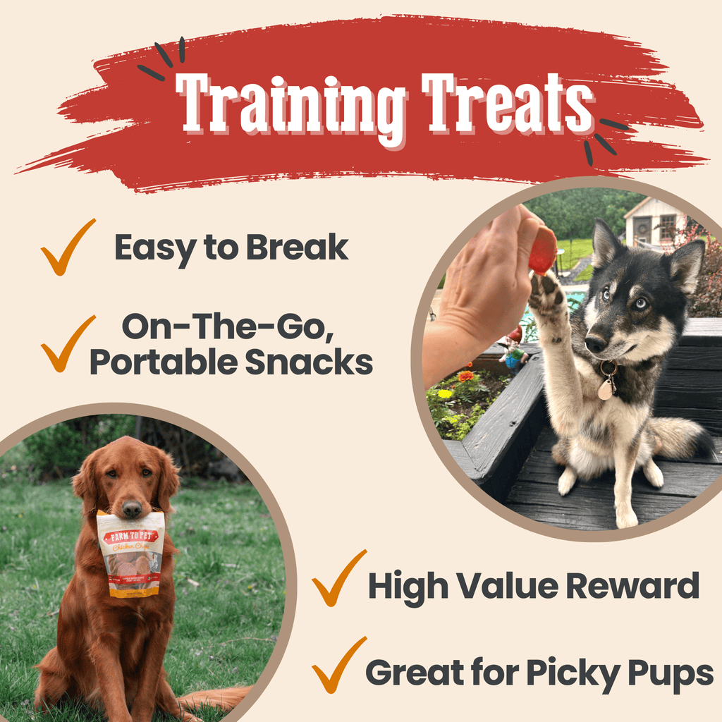 Turkey and Chicken Chip Dog Treat Duo – Single Ingredient