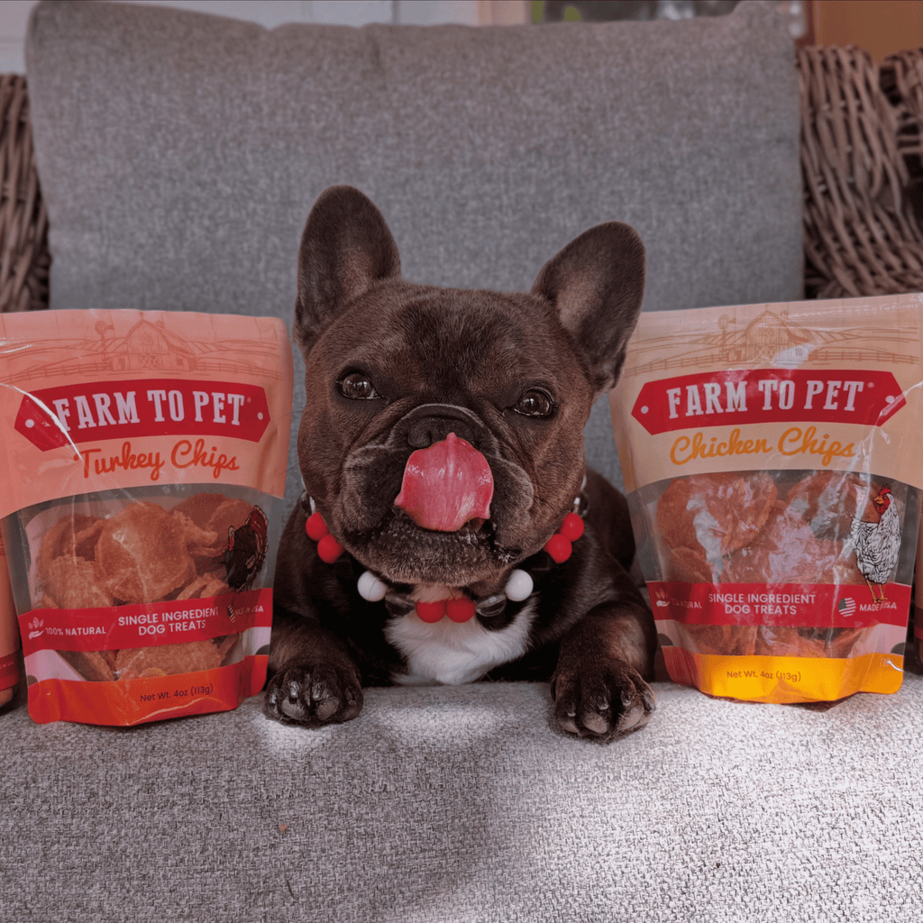 Turkey and Chicken Chip Dog Treat Duo – Single Ingredient