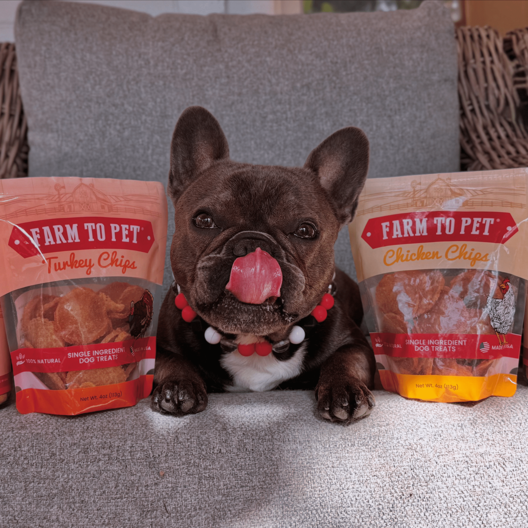 Turkey and Chicken Chip Dog Treat Duo – Single Ingredient