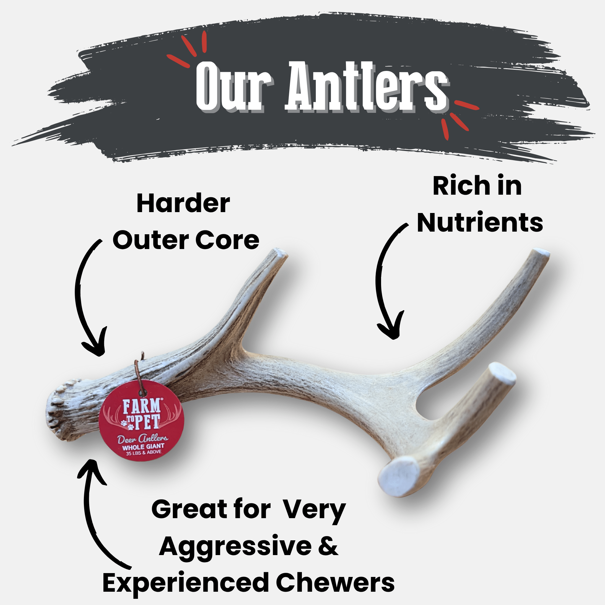 Whole Deer Antler Chew for Large Dogs (35 lbs and Up)