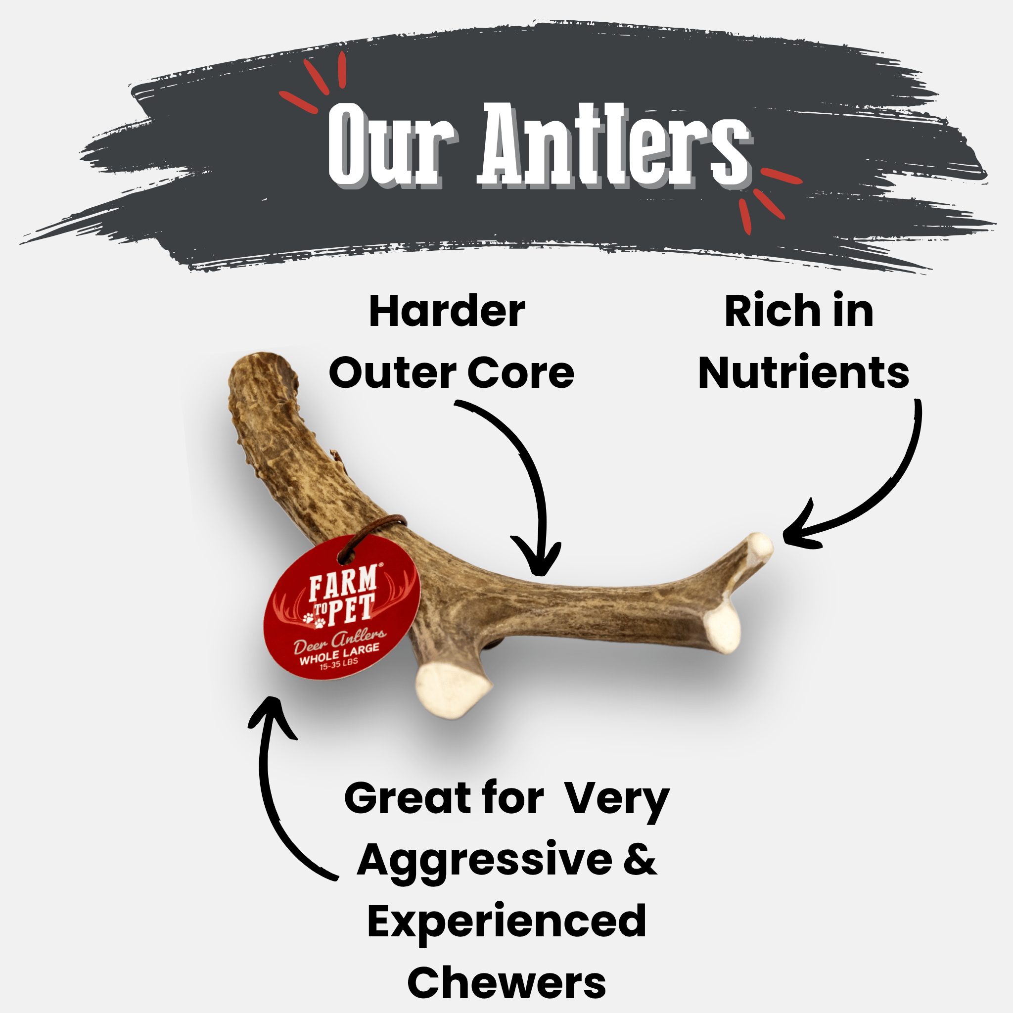 Whole Deer Antler Chew for Large Dogs (35 lbs and Up)