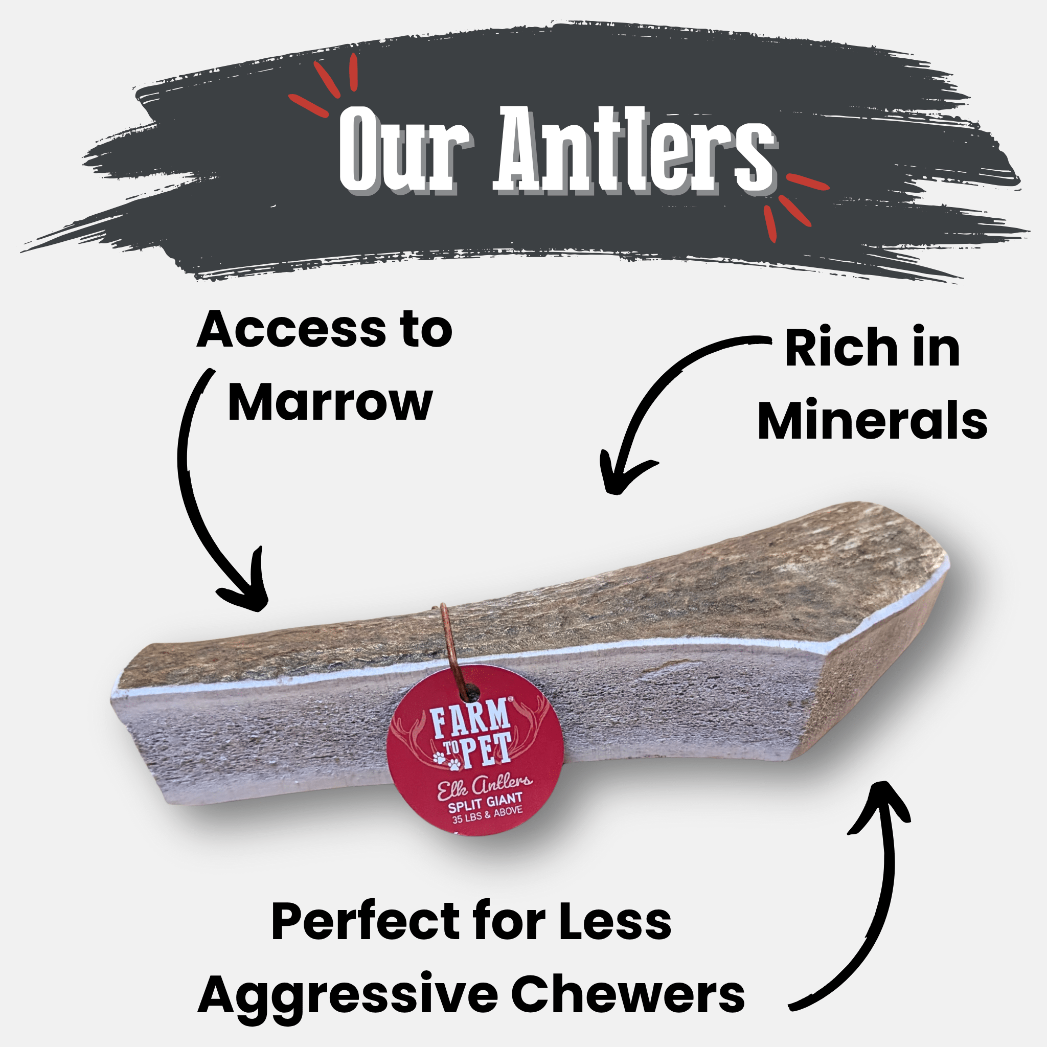 Elk Antler Dog Chew – Split or Whole, Wild-Gathered in Wyoming