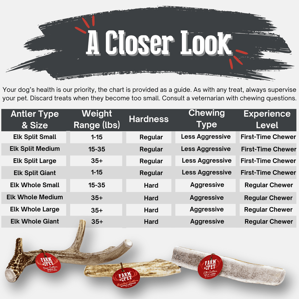 Elk Antler Dog Chew – Split or Whole, Wild-Gathered in Wyoming