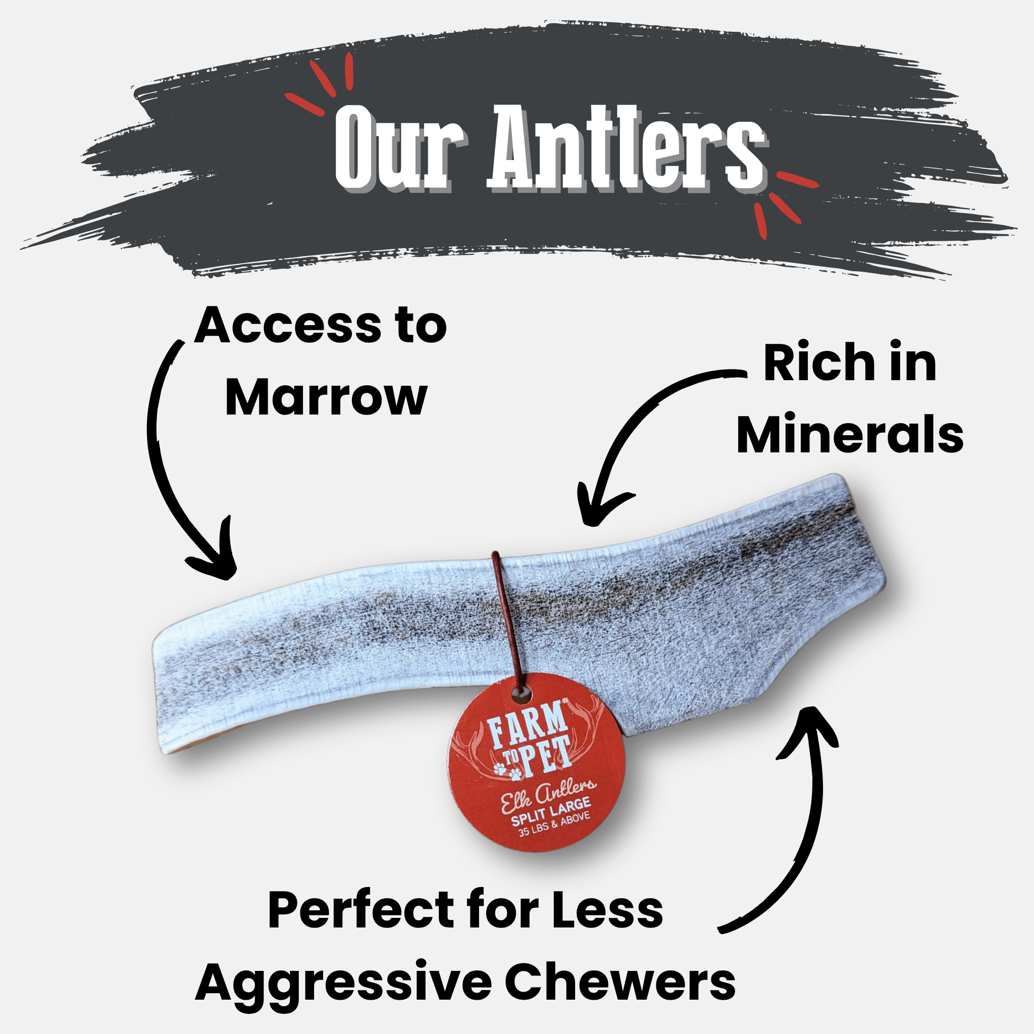 Elk Antler Dog Chew – Split or Whole, Wild-Gathered in Wyoming