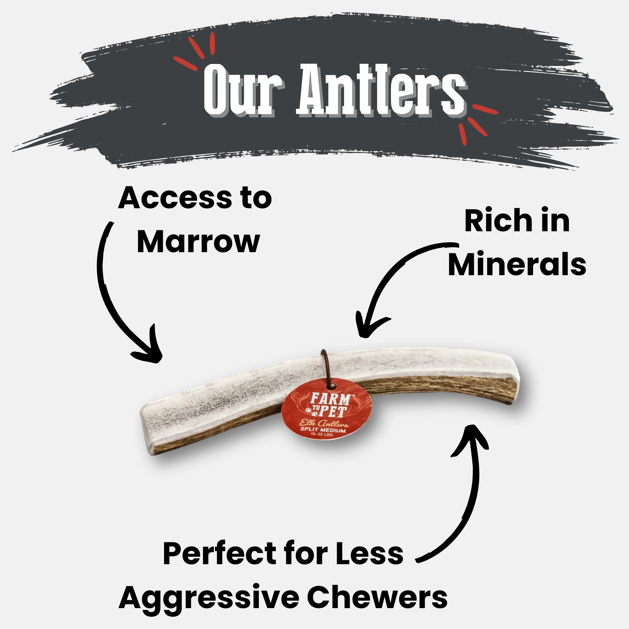 Elk Antler Dog Chew – Split or Whole, Wild-Gathered in Wyoming