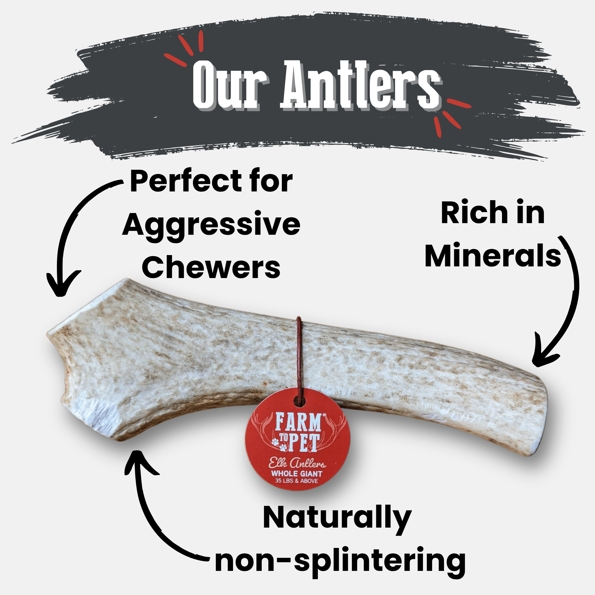 Elk Antler Dog Chew – Split or Whole, Wild-Gathered in Wyoming