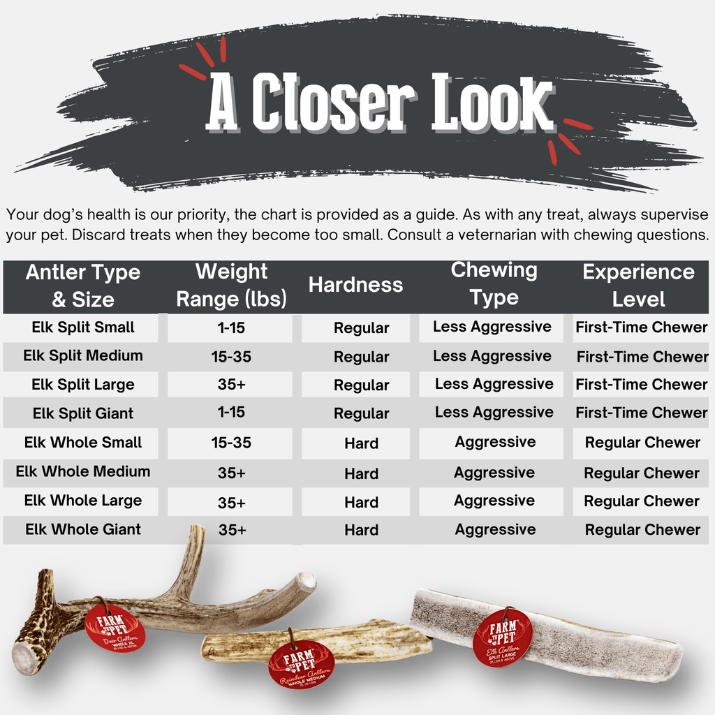 Elk Antler Dog Chew – Split or Whole, Wild-Gathered in Wyoming