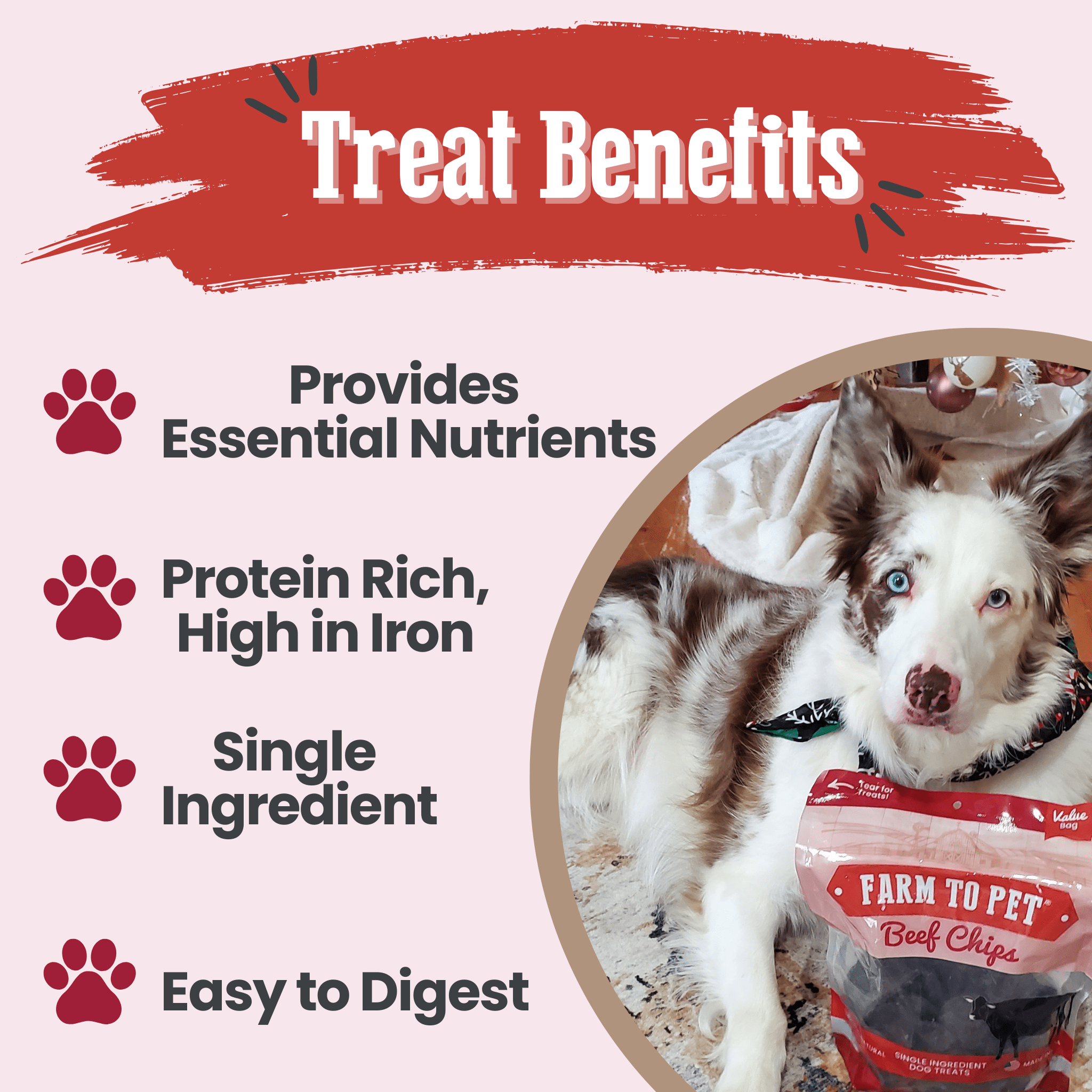 Farm to Pet Beef Chips Dog Treats – Single Ingredient, 100% Beef