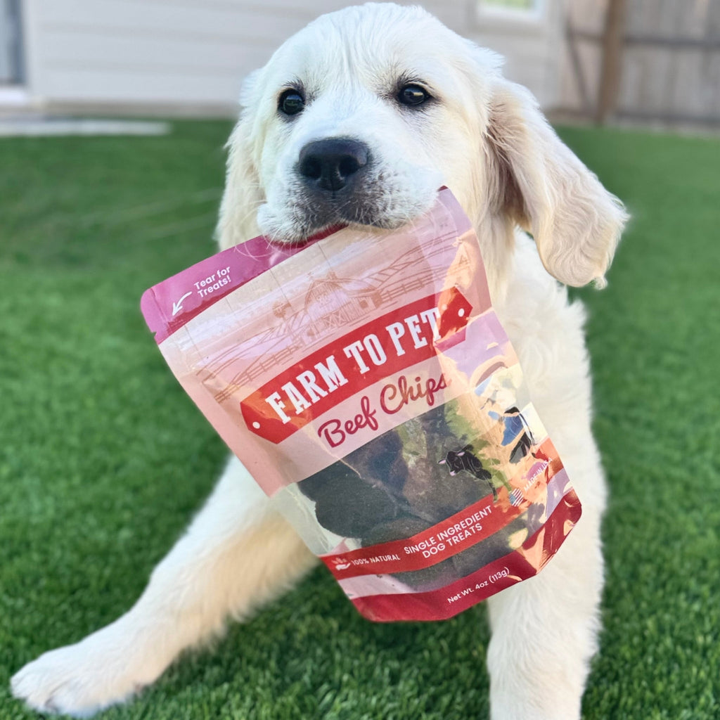 Farm to Pet Beef Chips Dog Treats – Single Ingredient, 100% Beef