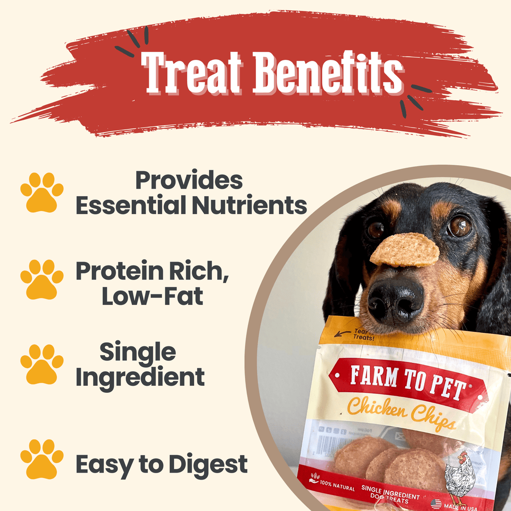 Chicken Chip Snack Packs for Dogs and Cats – 100% Chicken Breast