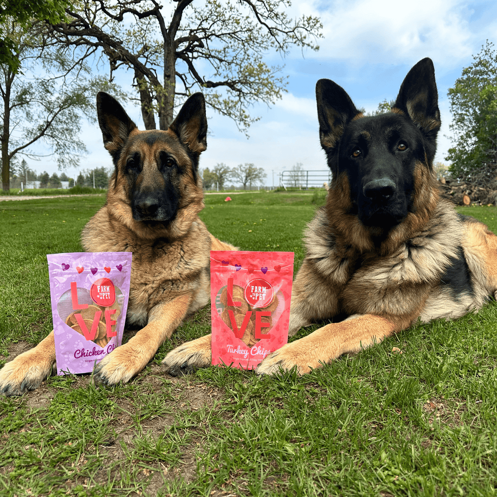 Puppy Love Dog Treat Duo – Chicken & Turkey Chips Value Pack