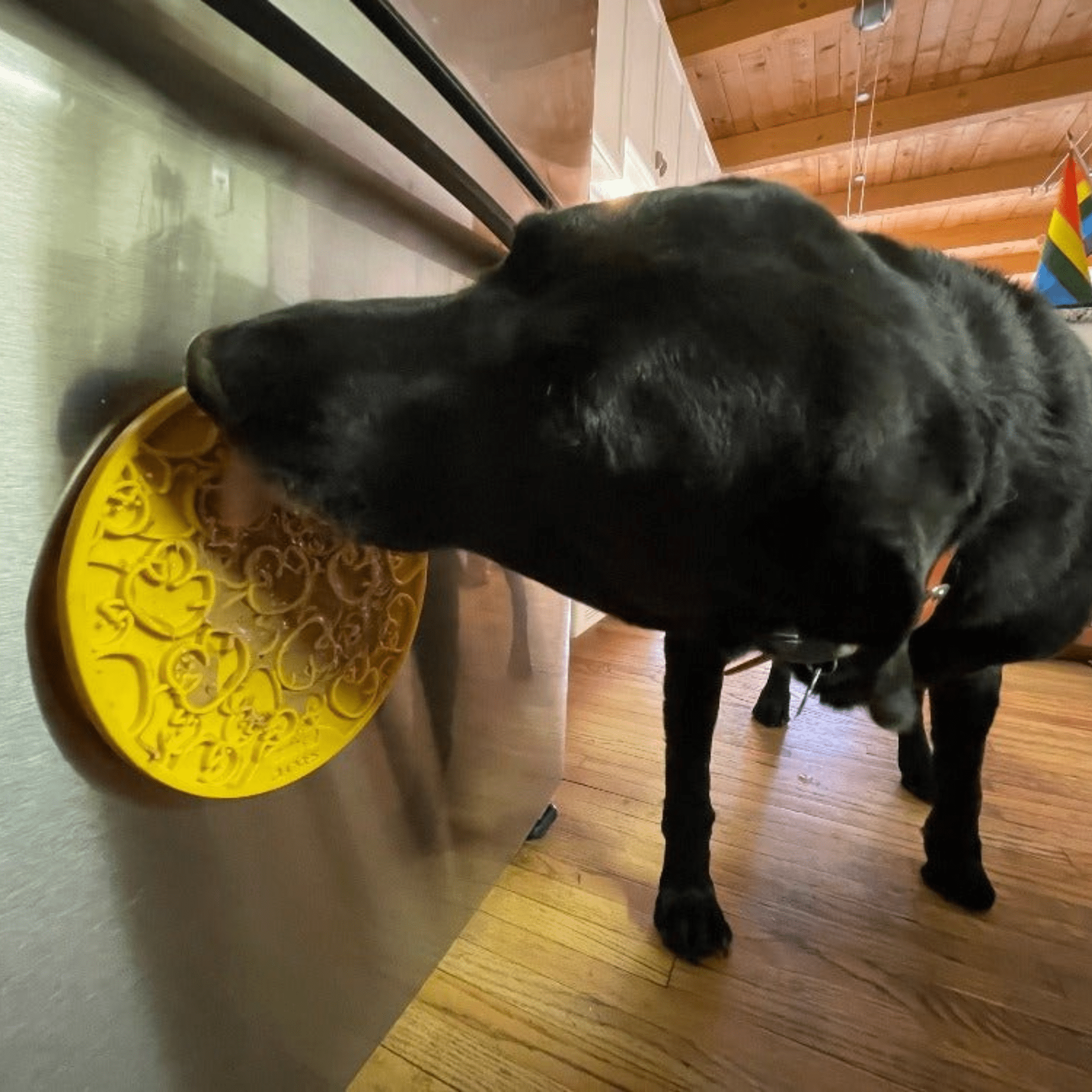 Suction Cup Lick Mat for Dogs and Cats, 8" Diameter, USA-Made Rubber