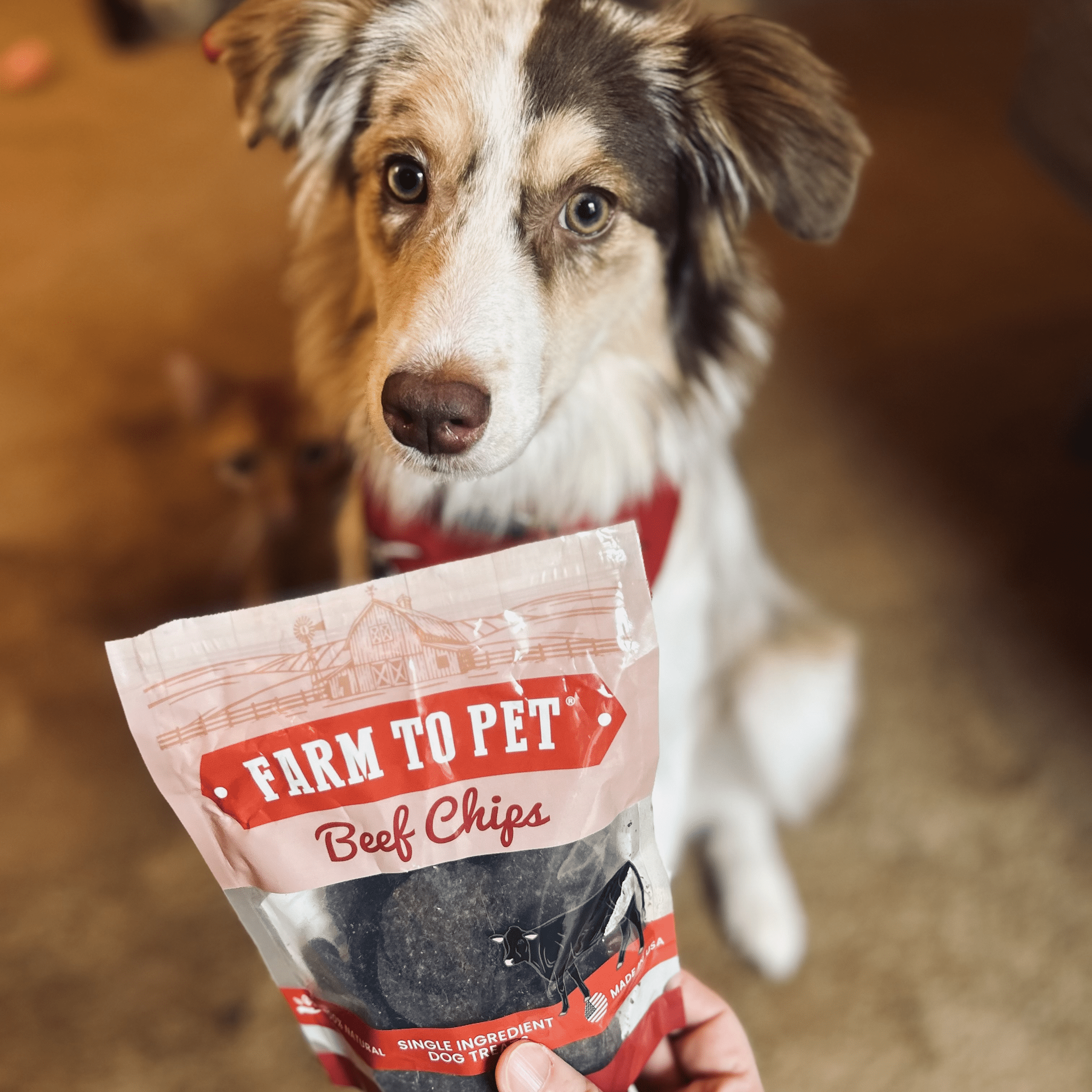 Puppy Pack Single-Ingredient Treats – Chicken, Beef, Fish & Turkey