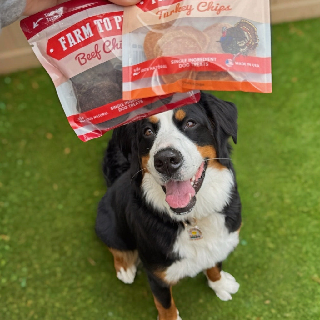 Puppy Pack Single-Ingredient Treats – Chicken, Beef, Fish & Turkey