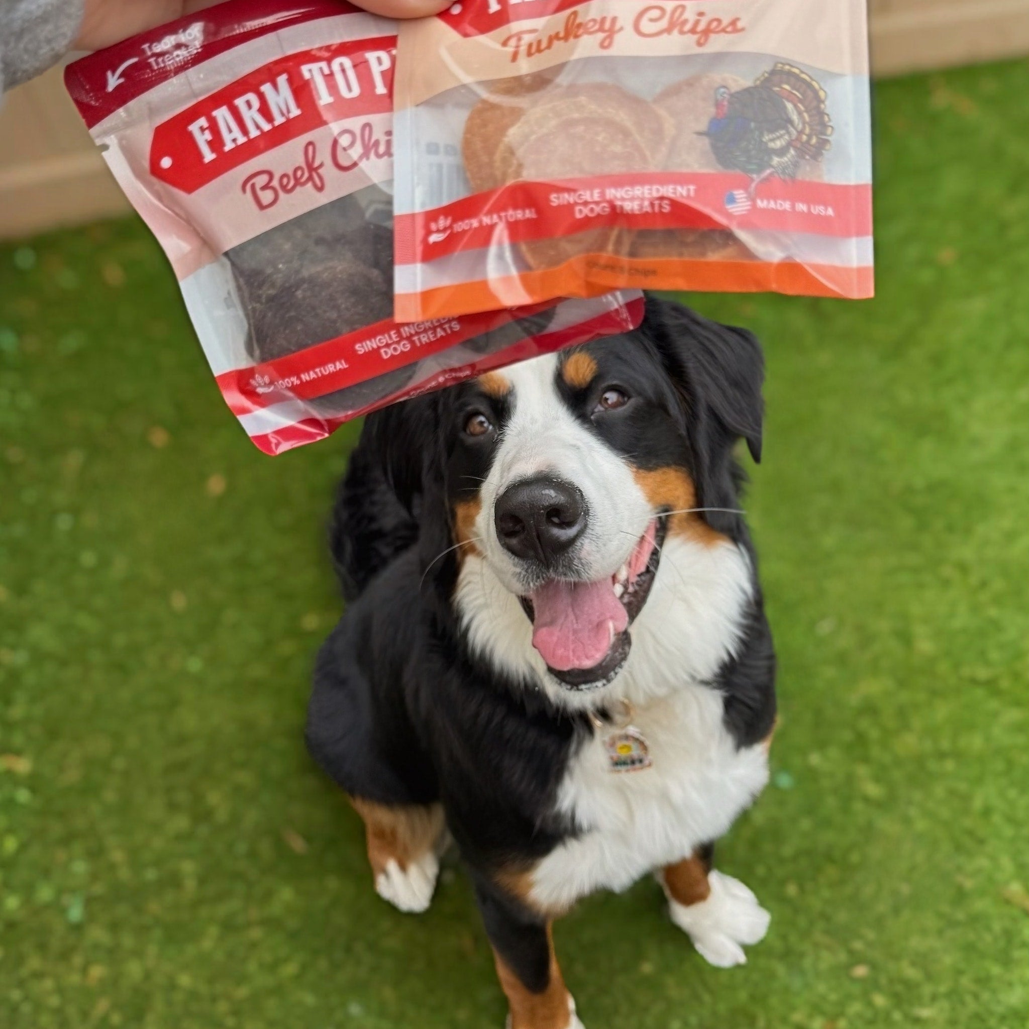 Puppy Pack Single-Ingredient Treats – Chicken, Beef, Fish & Turkey