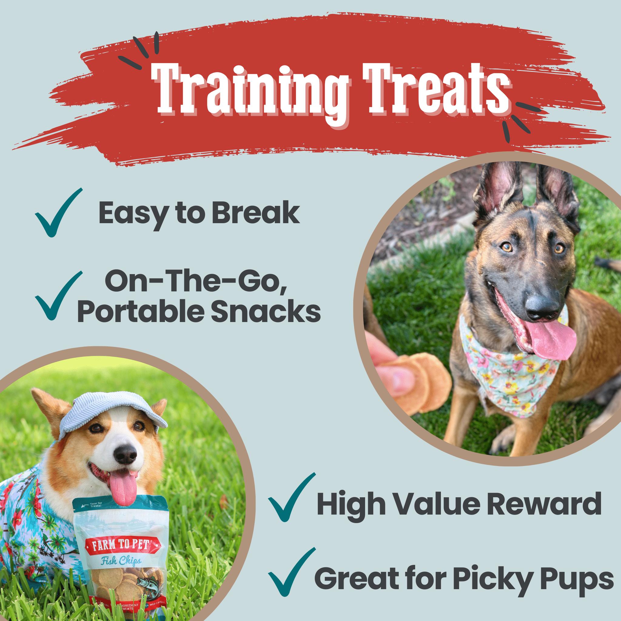 Wild-Caught Walleye Fish Chips for Dogs & Cats