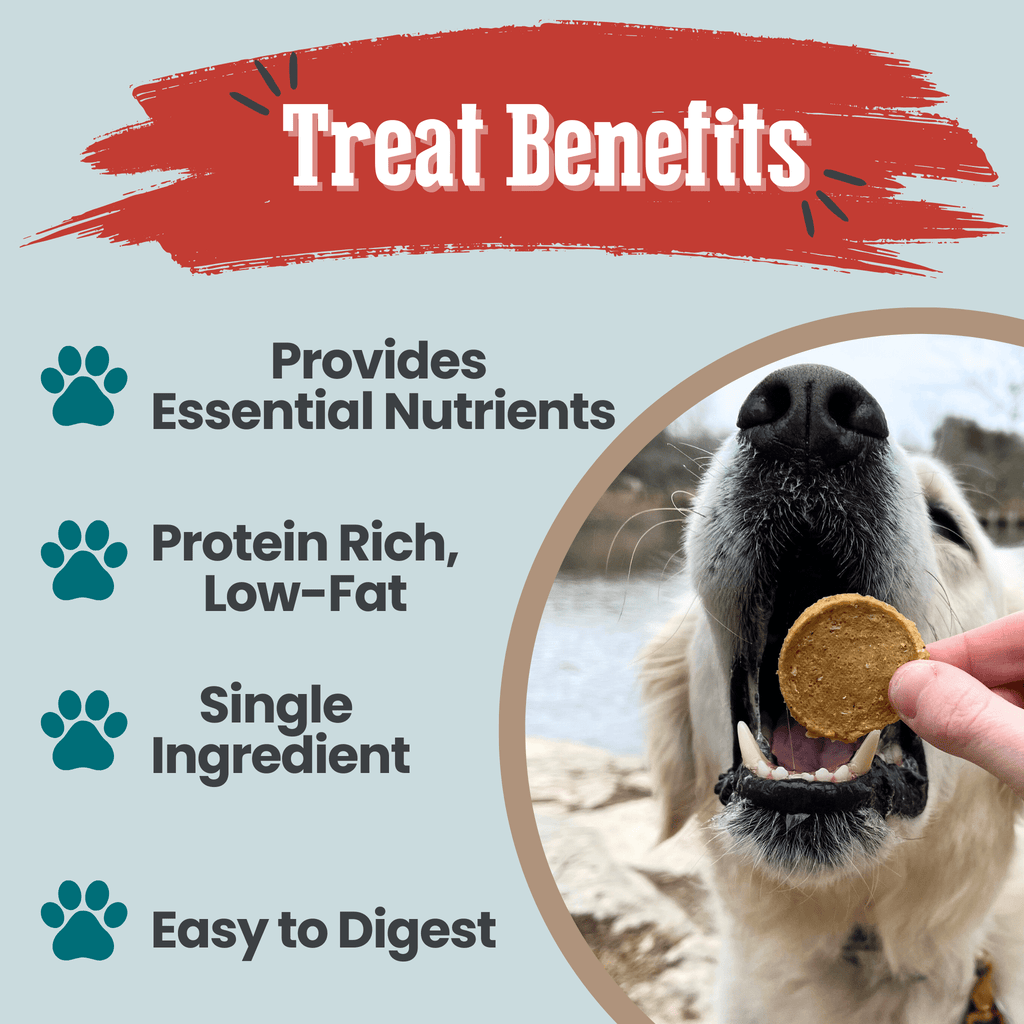 Wild-Caught Walleye Fish Chips for Dogs & Cats