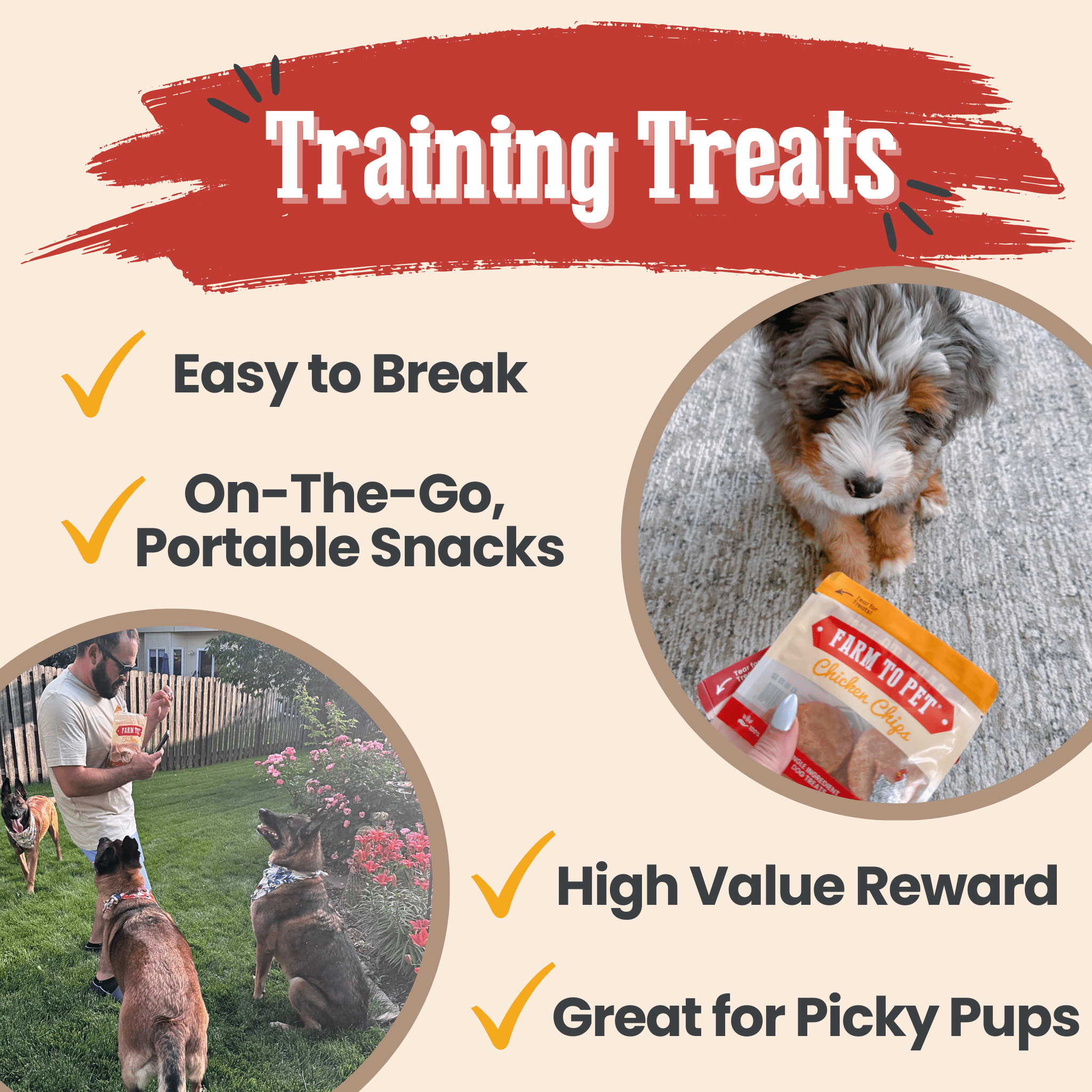 Snack Pack Sampler – Single-Ingredient Protein Chips for Pets