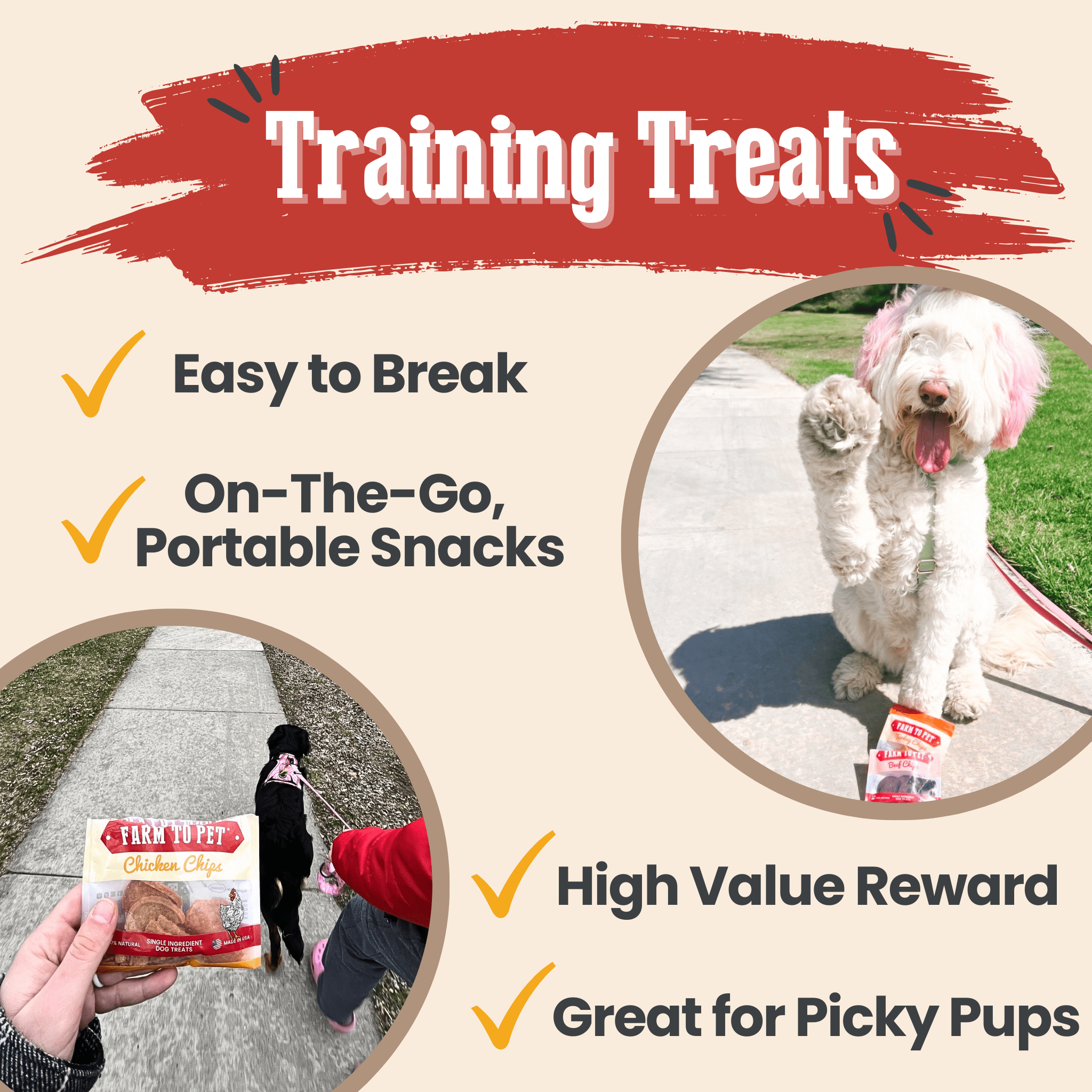 Snack Pack Sampler – Single-Ingredient Protein Chips for Pets