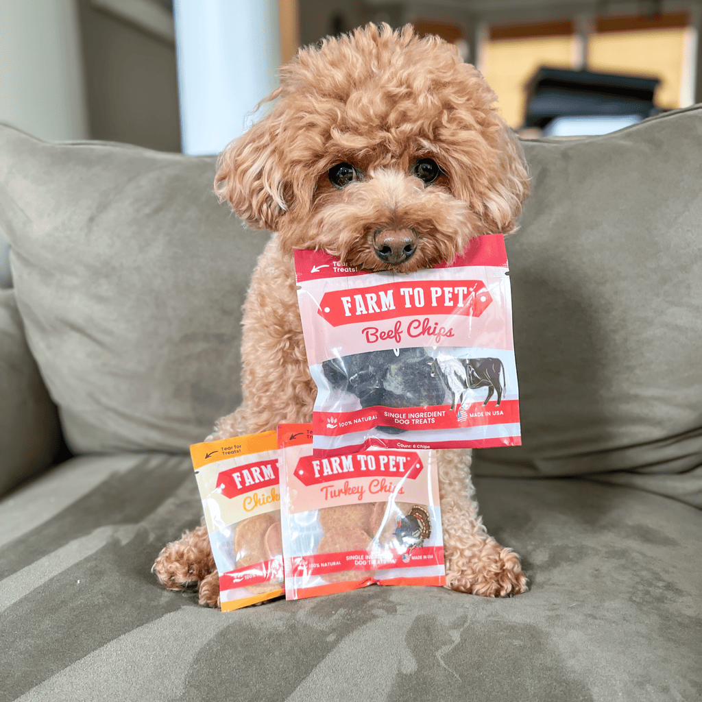 Snack Pack Sampler – Single-Ingredient Protein Chips for Pets