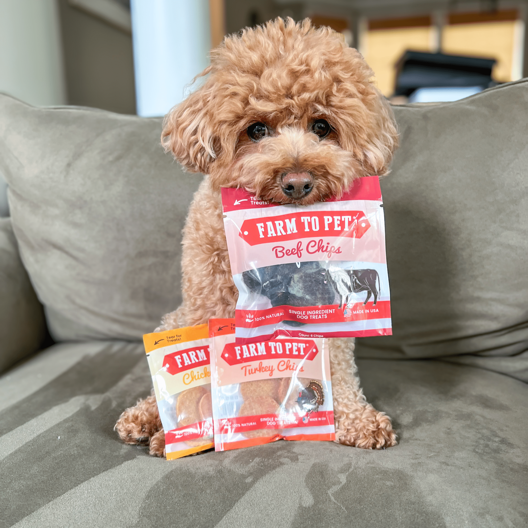 Snack Pack Sampler – Single-Ingredient Protein Chips for Pets