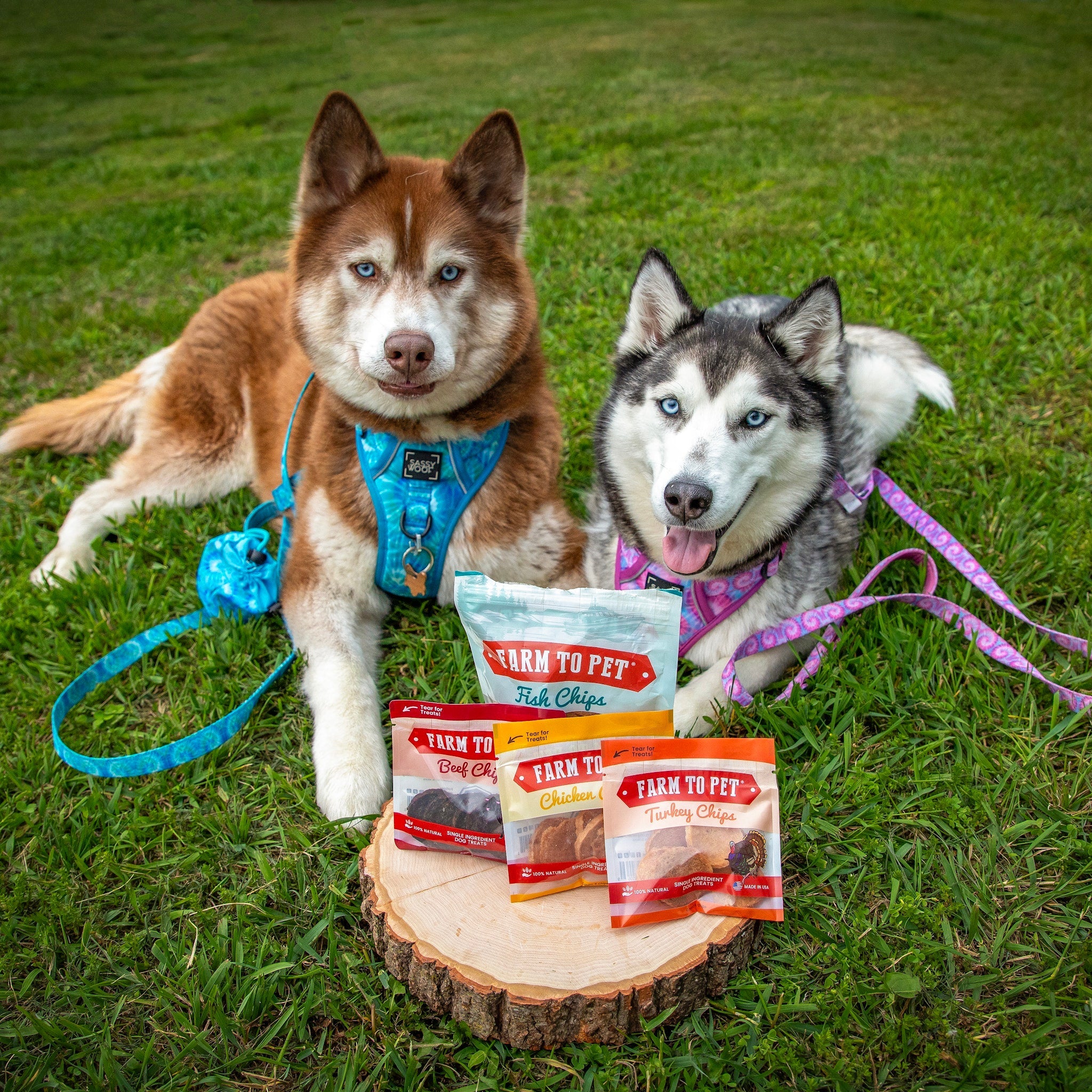Puppy Pack Single-Ingredient Treats – Chicken, Beef, Fish & Turkey