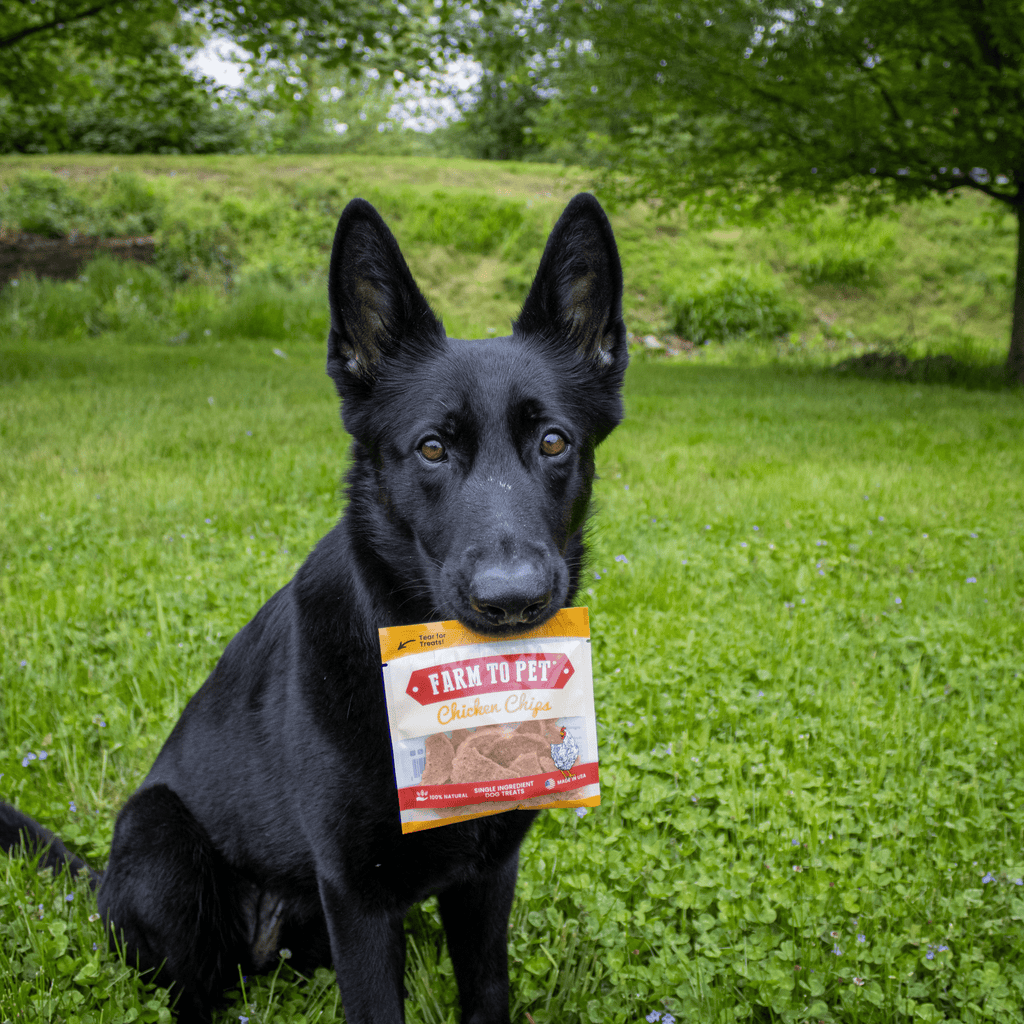 Chicken Chip Snack Packs for Dogs and Cats – 100% Chicken Breast