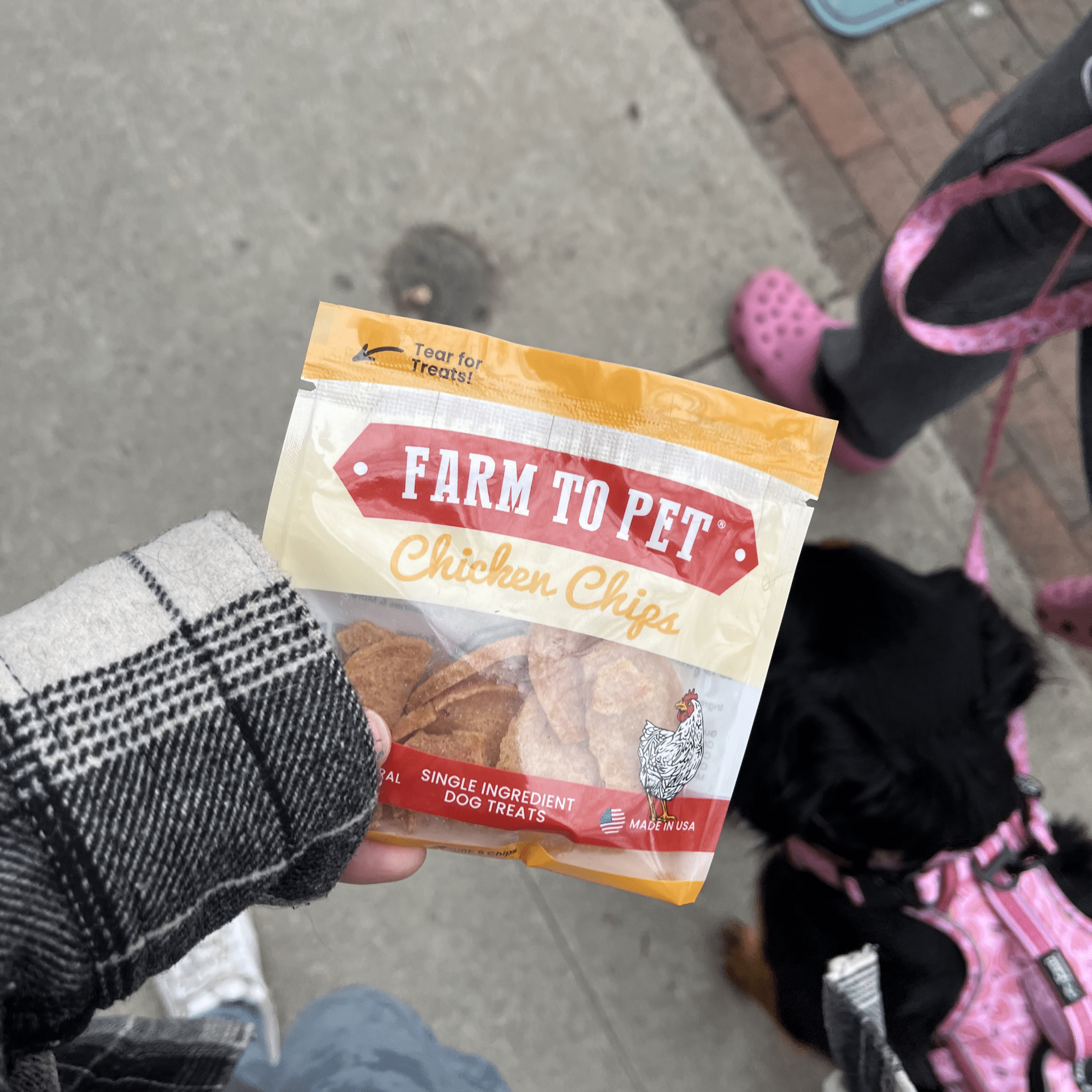 Chicken Chip Snack Packs for Dogs and Cats – 100% Chicken Breast