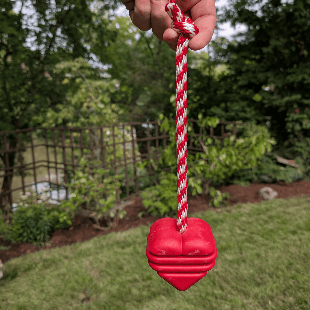 Durable USA-Made Dog Tug Toy for Interactive Play