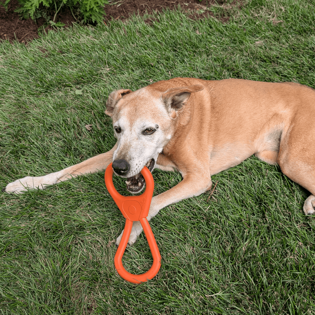 Durable USA-Made Dog Tug Toy for Interactive Play