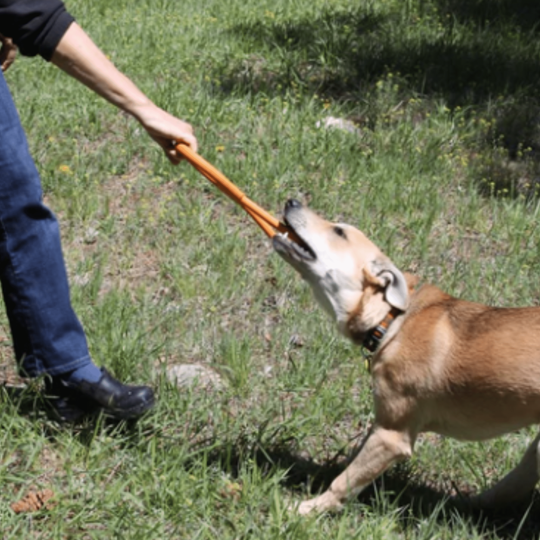 Durable USA-Made Dog Tug Toy for Interactive Play